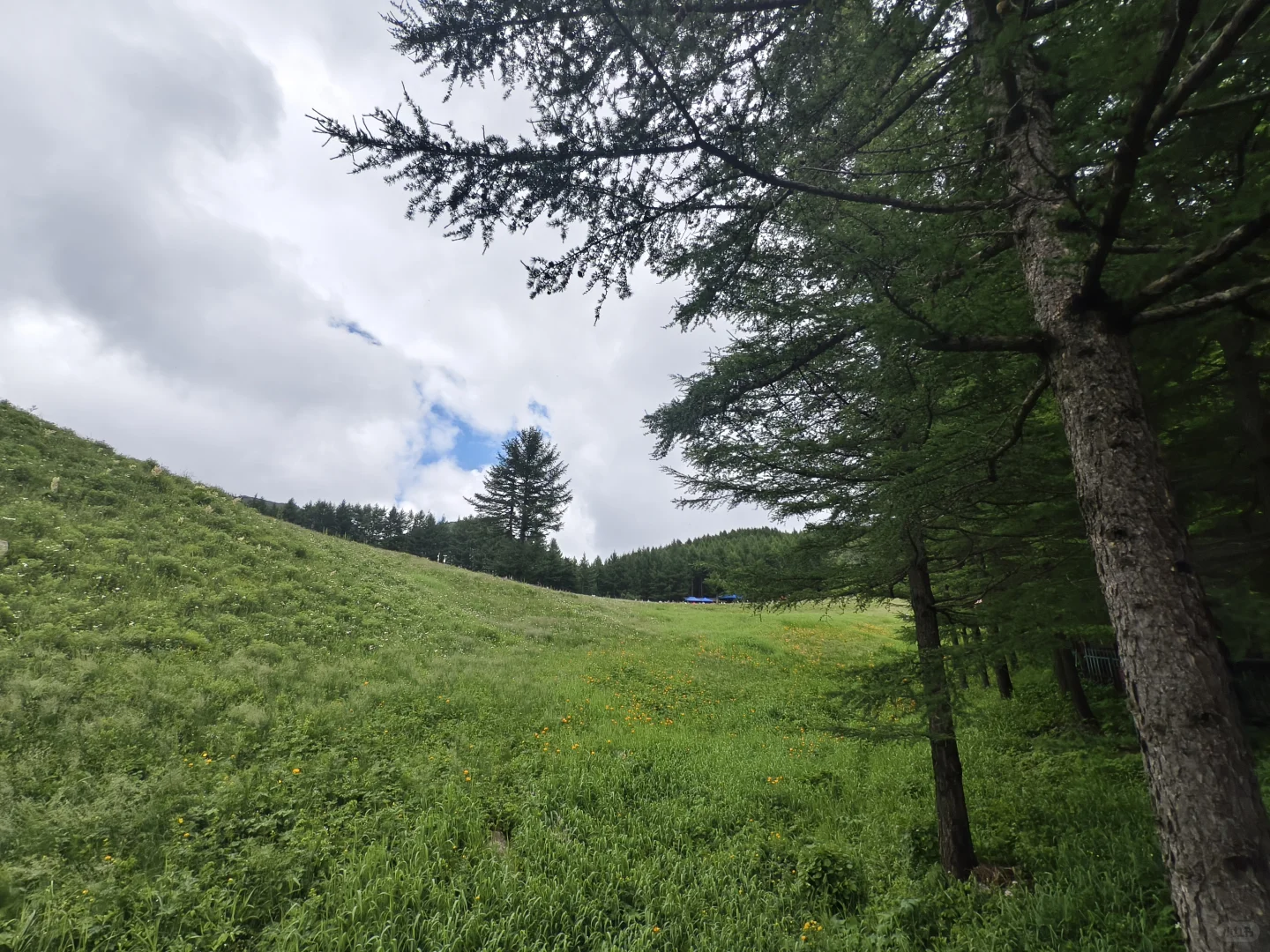 石家庄|驼梁攻略 看这篇就够了