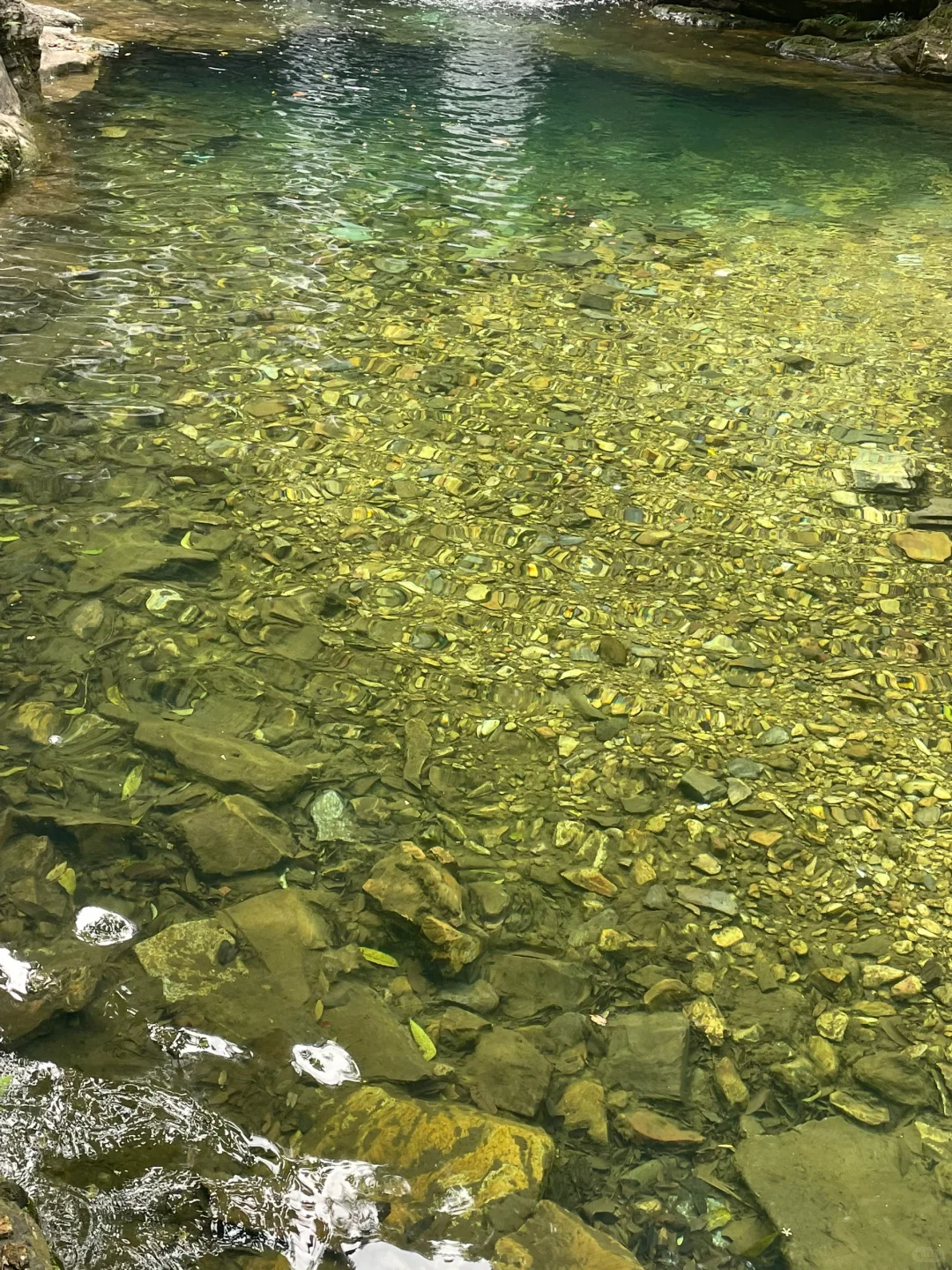 📍肇庆很好 下次不来了