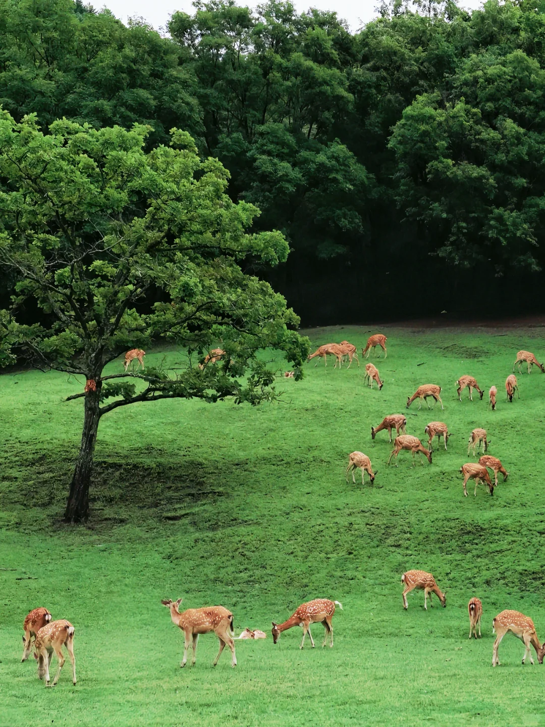 被治愈的生活底片，你抓住了嘛？