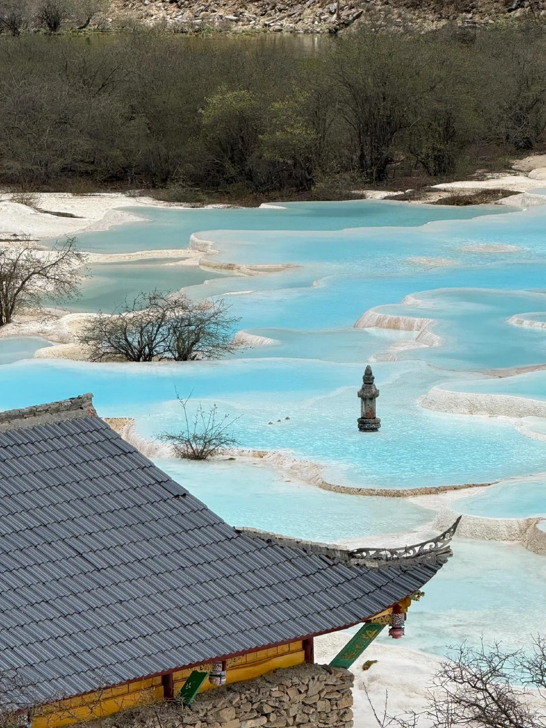 黄龙很美，但我已累成🐶。。（附live图）