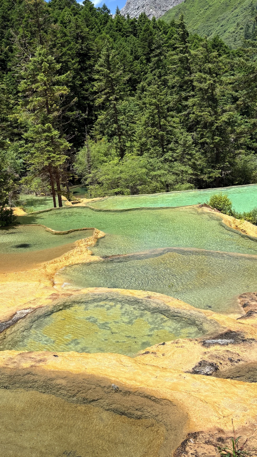 到底是谁在说黄龙九寨不好看的!