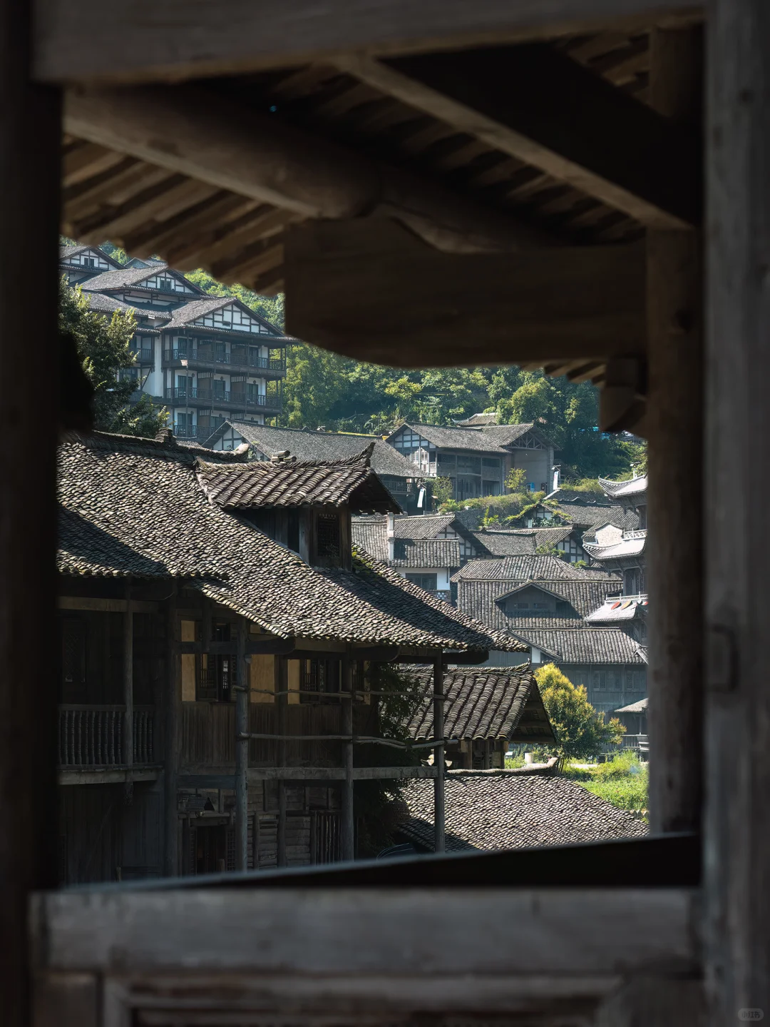 高铁直达🚄 这个贵州秘境太适合避暑了❗