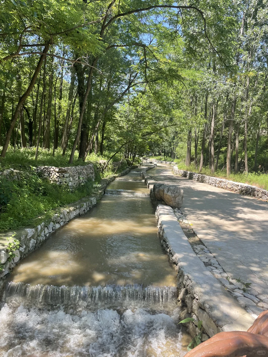 夏日避暑宝藏地|赶快躲进这天然氧吧🍃