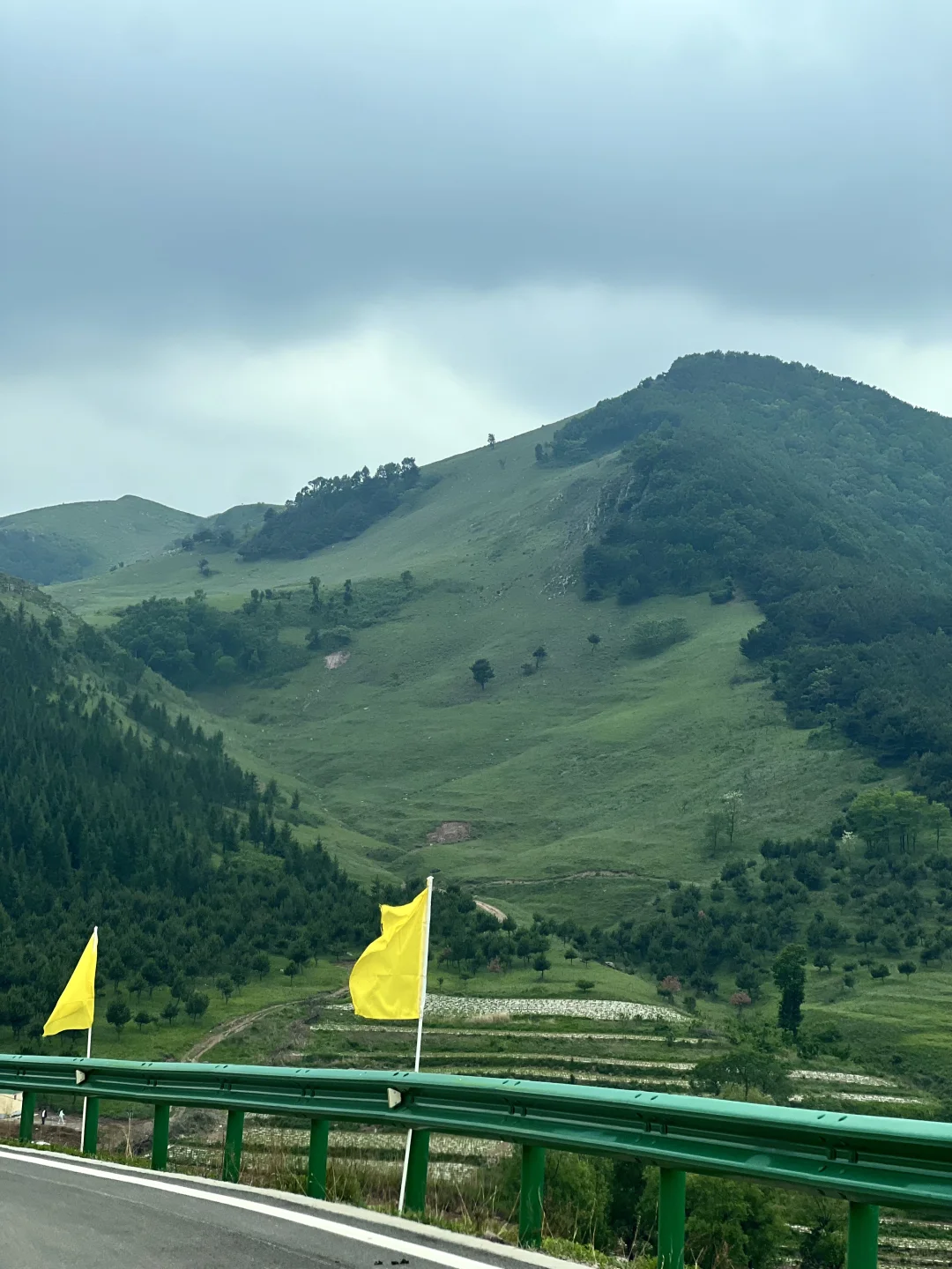 河北有自己的阿勒泰！走马槽草原一日游🌿