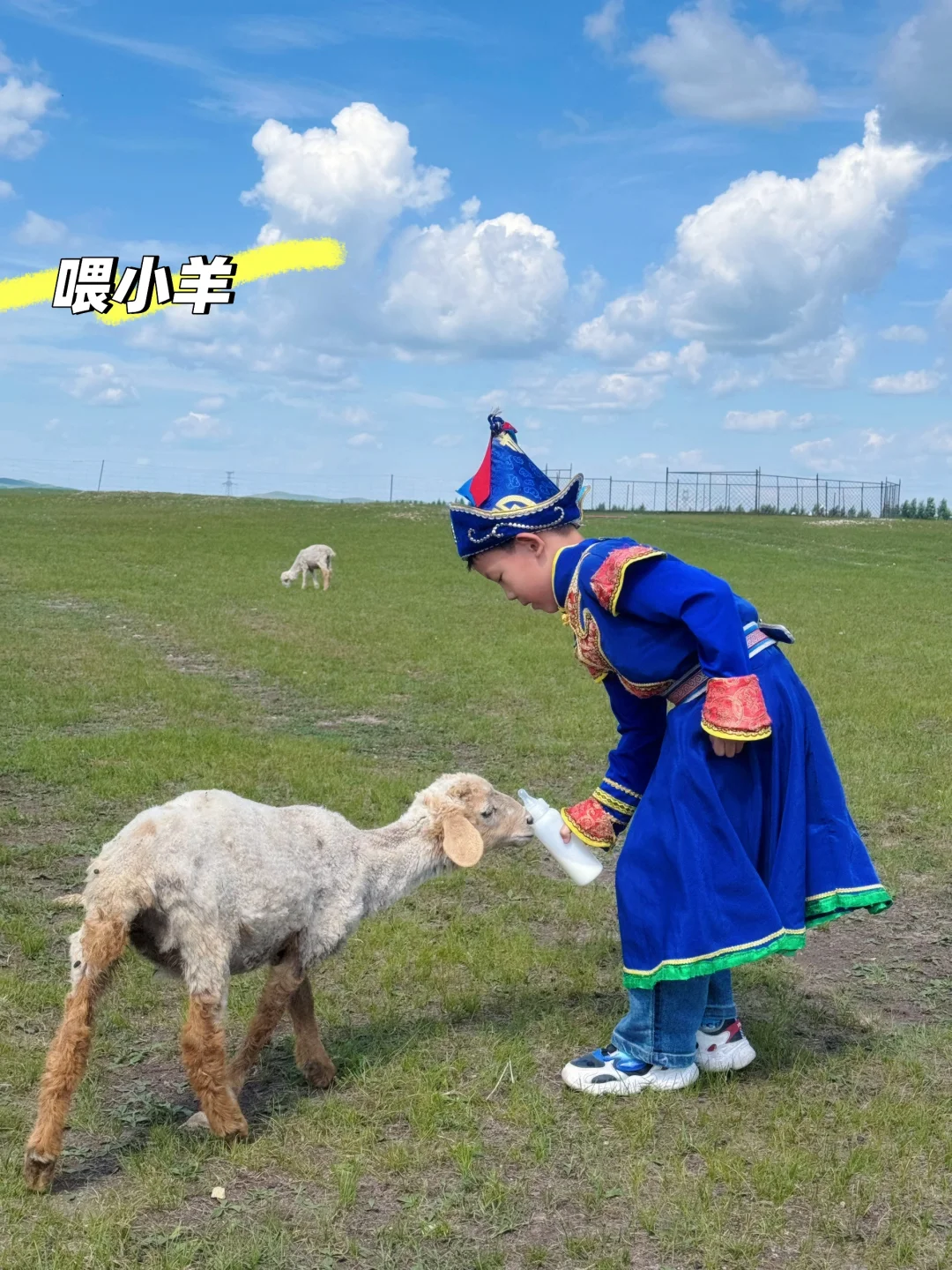 呼伦贝尔旅游攻略❗❗大草原六天五晚亲子游