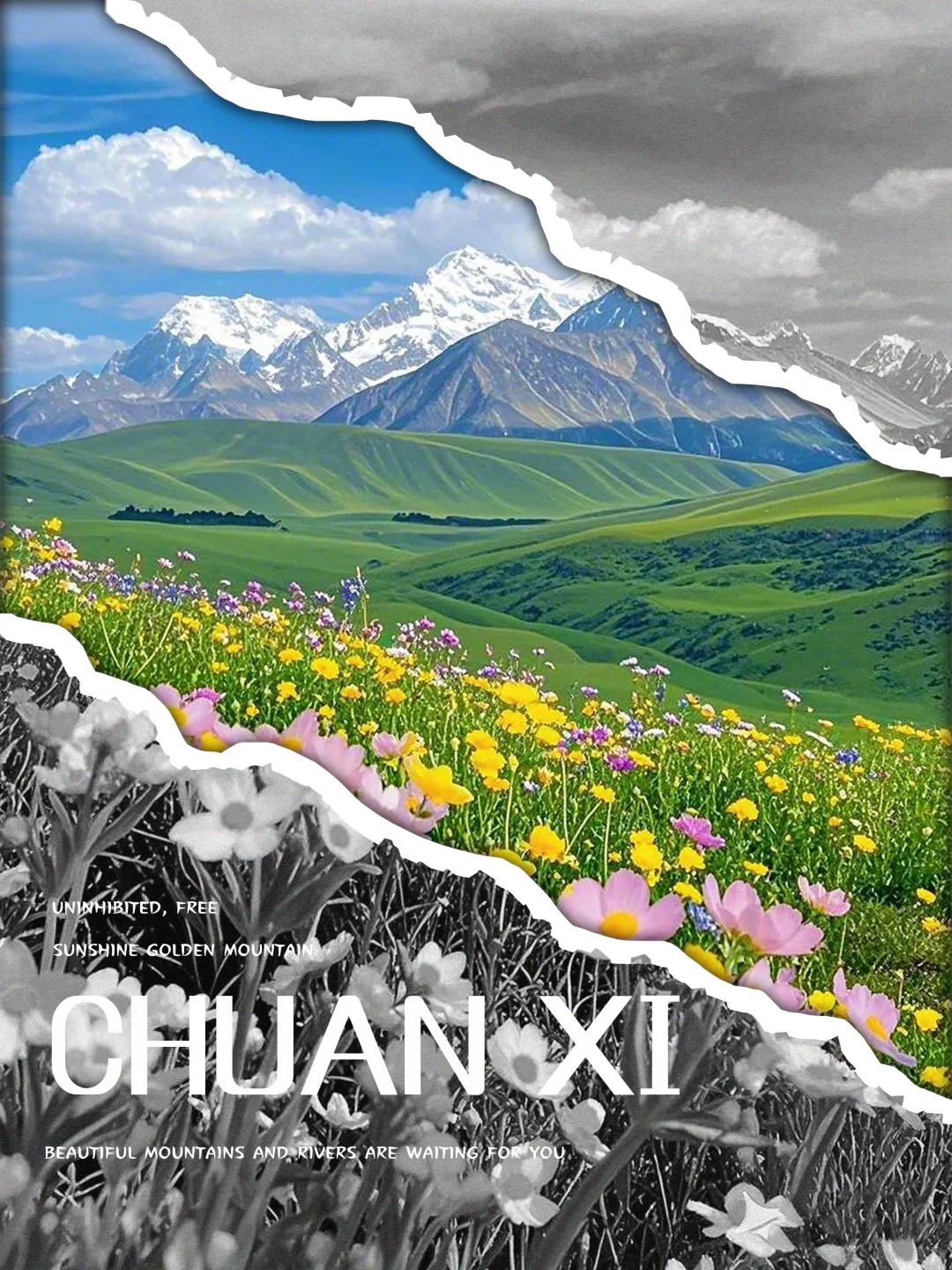 旅游海报 | 川西 | 撕纸效果