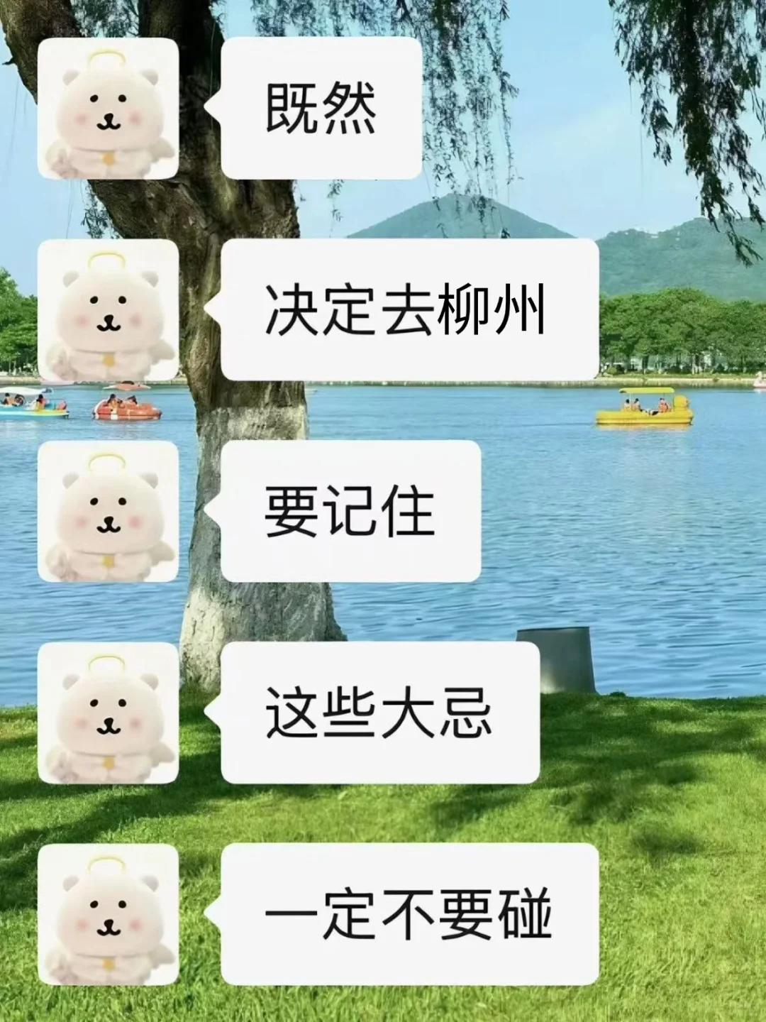 去柳州前,听点不一样的大实话.…