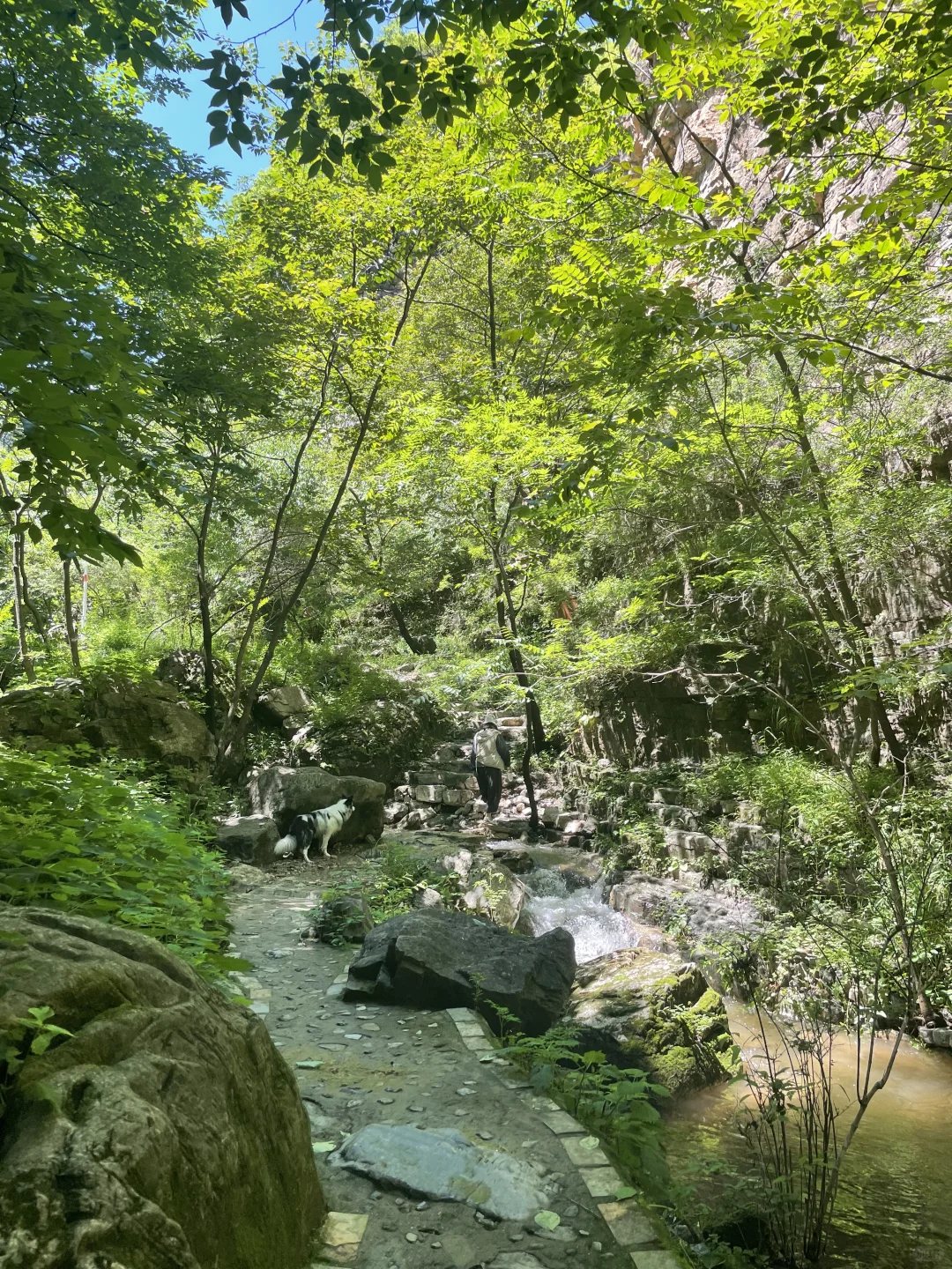 夏日避暑宝藏地|赶快躲进这天然氧吧🍃