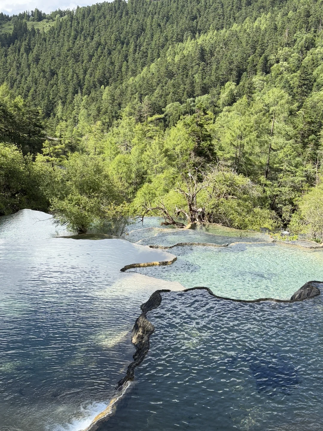 到底是谁在说黄龙九寨不好看的!