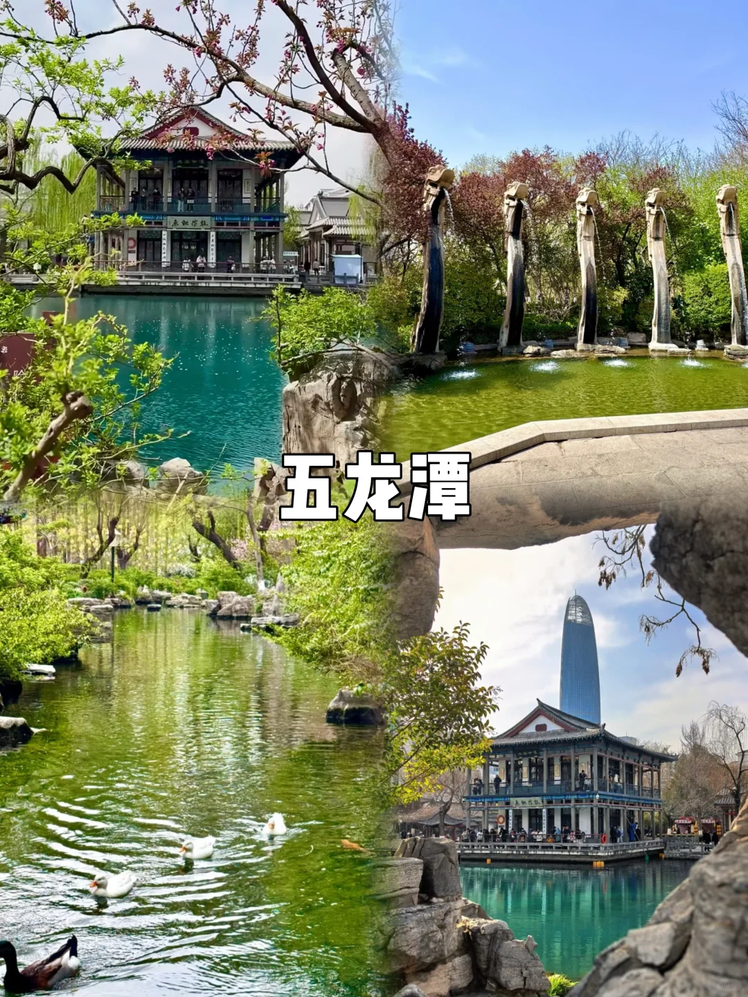 济南｜10个免费🆓打卡的宝藏地方❗️