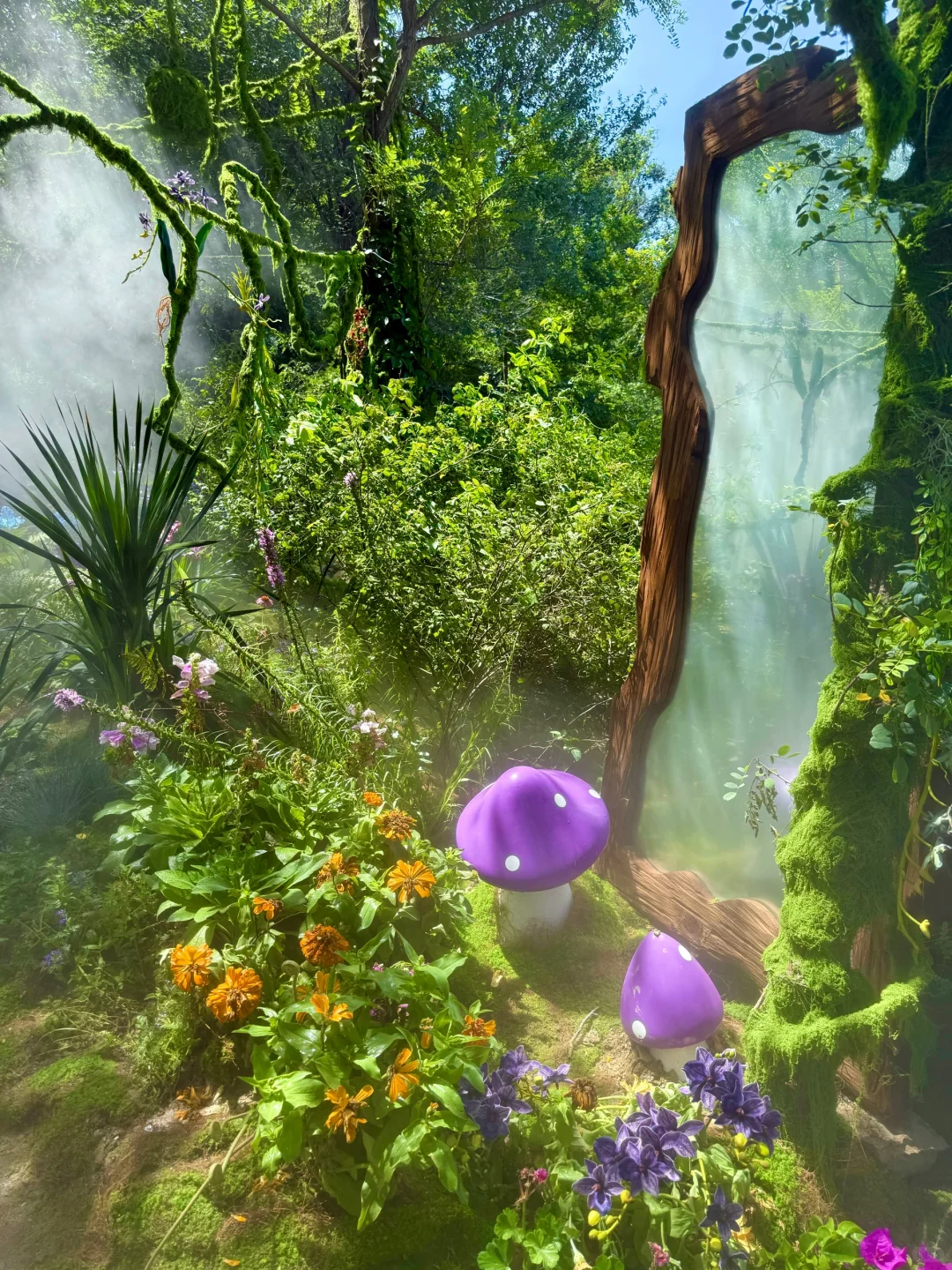 泰安开车2小时!发现绝美森林秘境🌳🦋