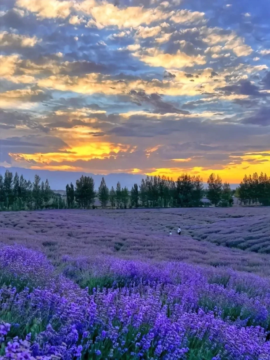 这16个新疆5A级景区你Pick哪个？😍😍