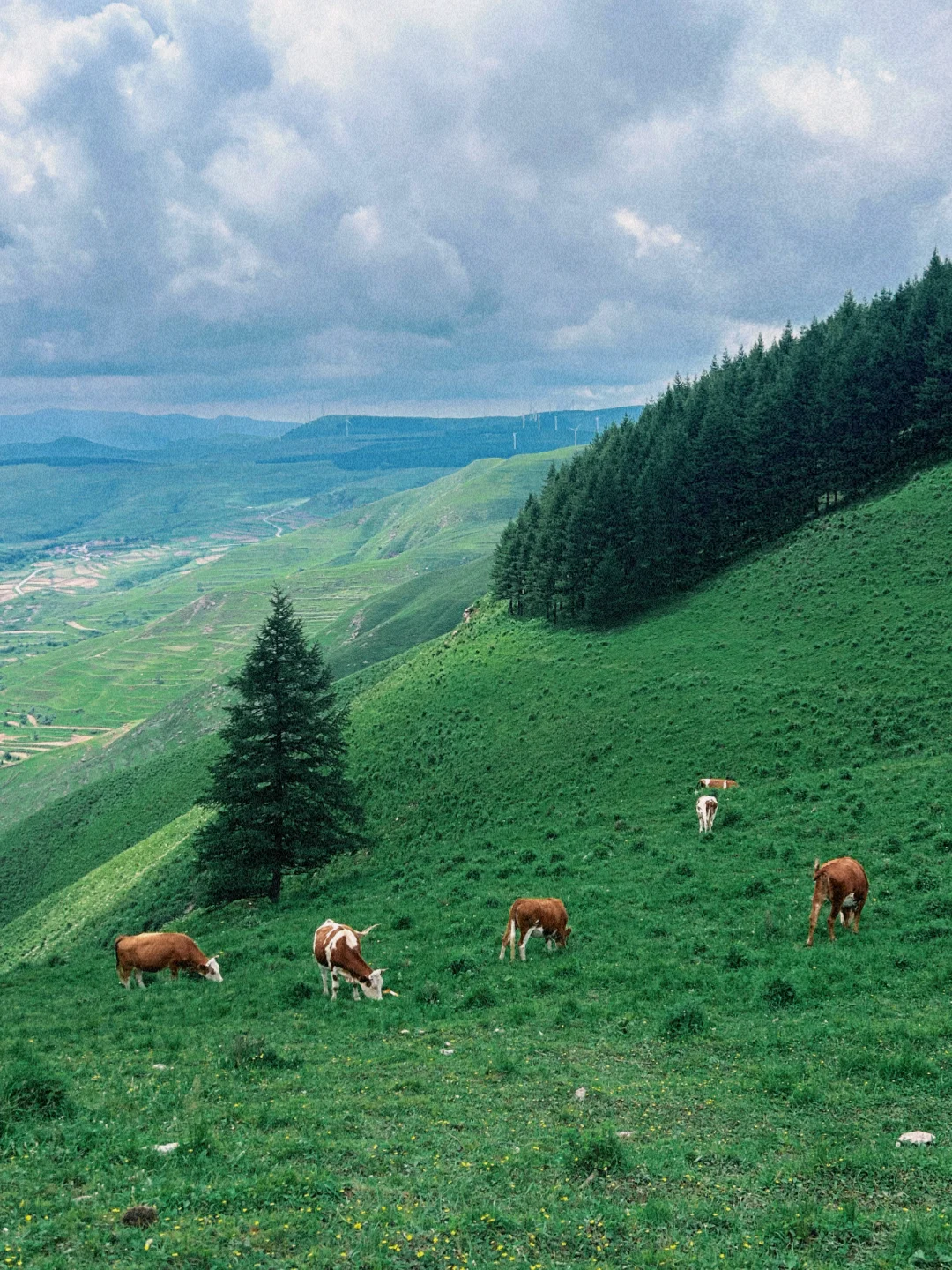 北京周边📷｜出片率200%的麻田岭⛰️