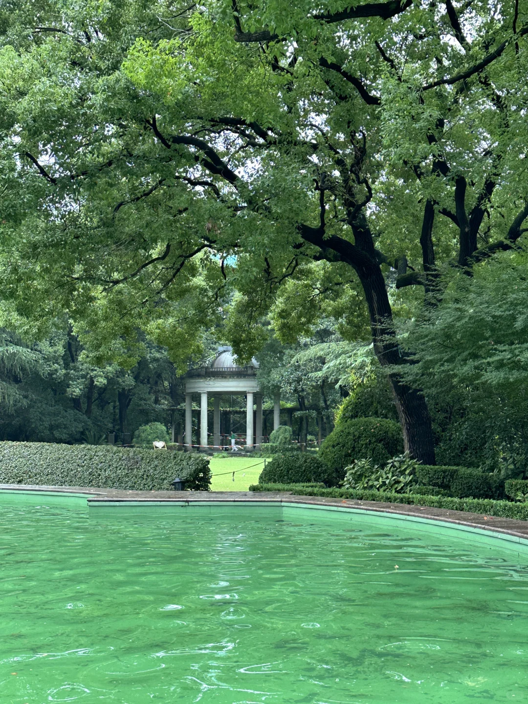 上海最好的地方都是免费的。。。。。