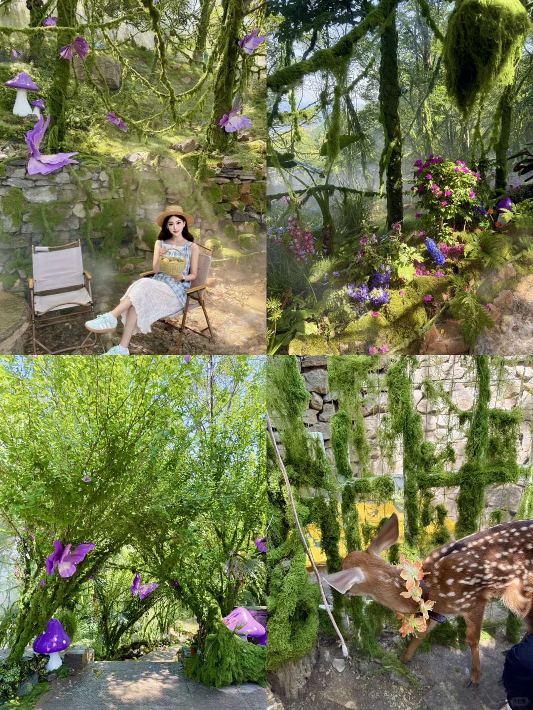 泰安开车2小时!发现绝美森林秘境🌳🦋