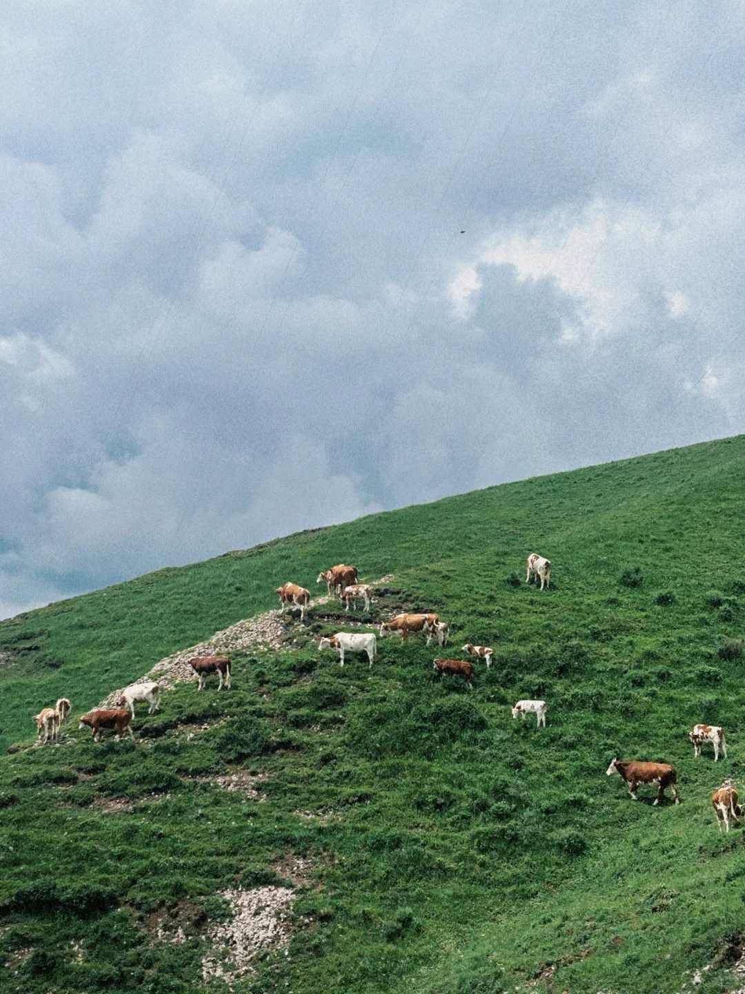 北京周边📷｜出片率200%的麻田岭⛰️