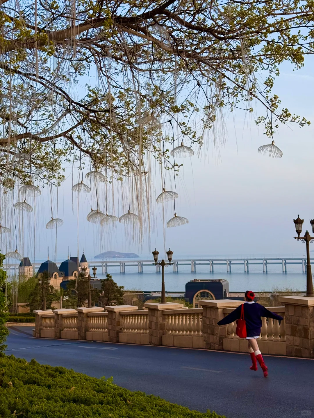 为了这❶❽张图，特意来了趟大连！！附机位📸