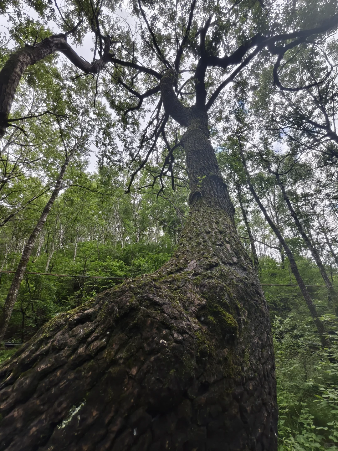 石家庄|驼梁攻略 看这篇就够了