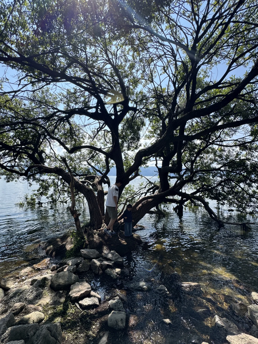 人在大理的Day2️⃣：这样的玩法 没踩任何坑🔥