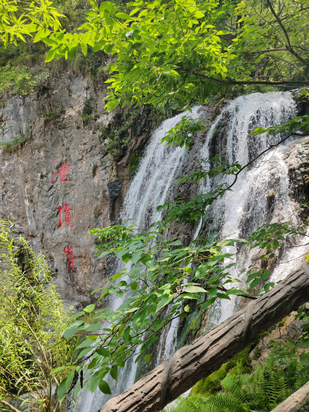 🌳重渡沟｜现实版绿野仙踪