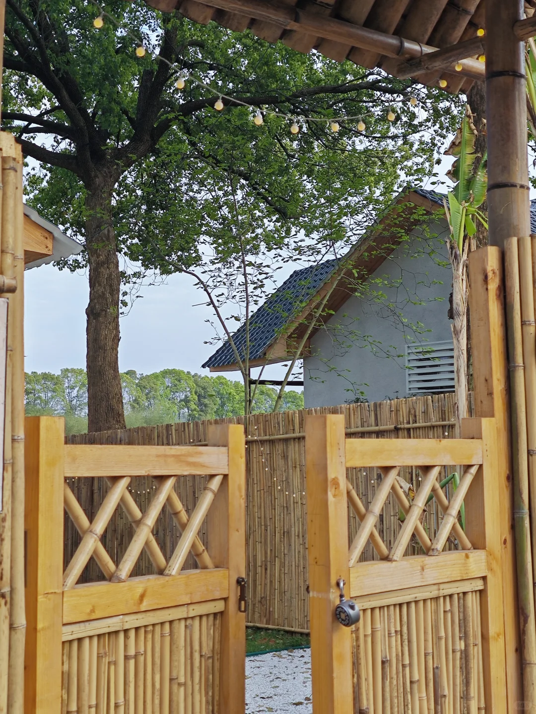 别宅啦~茅浒水乡新玩法赶紧码住啦