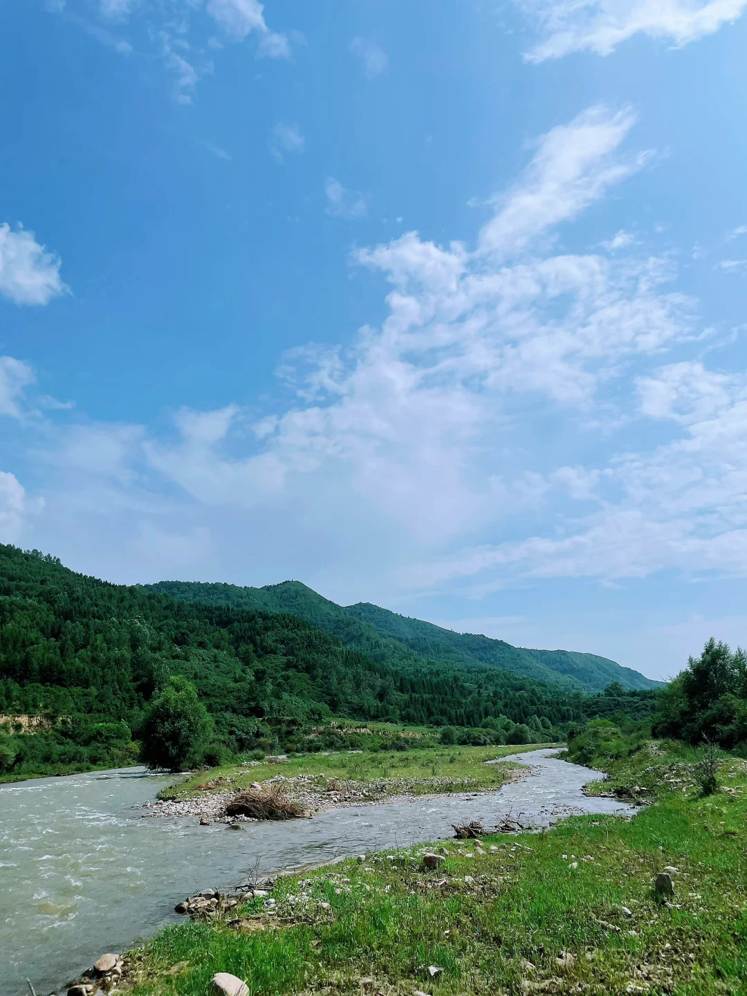荷叶坪 森林的海