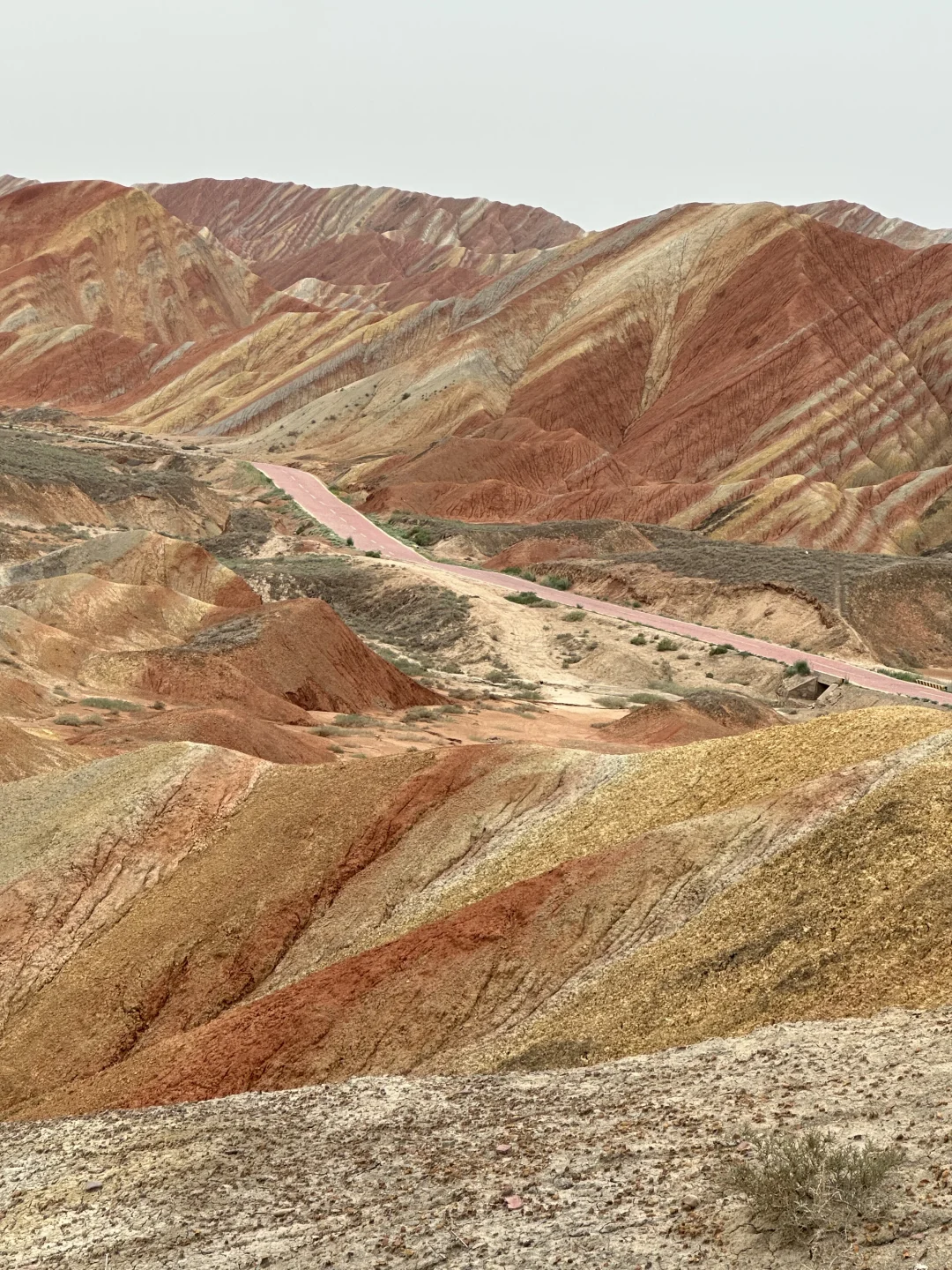 日照自驾新疆👫🏻Day13