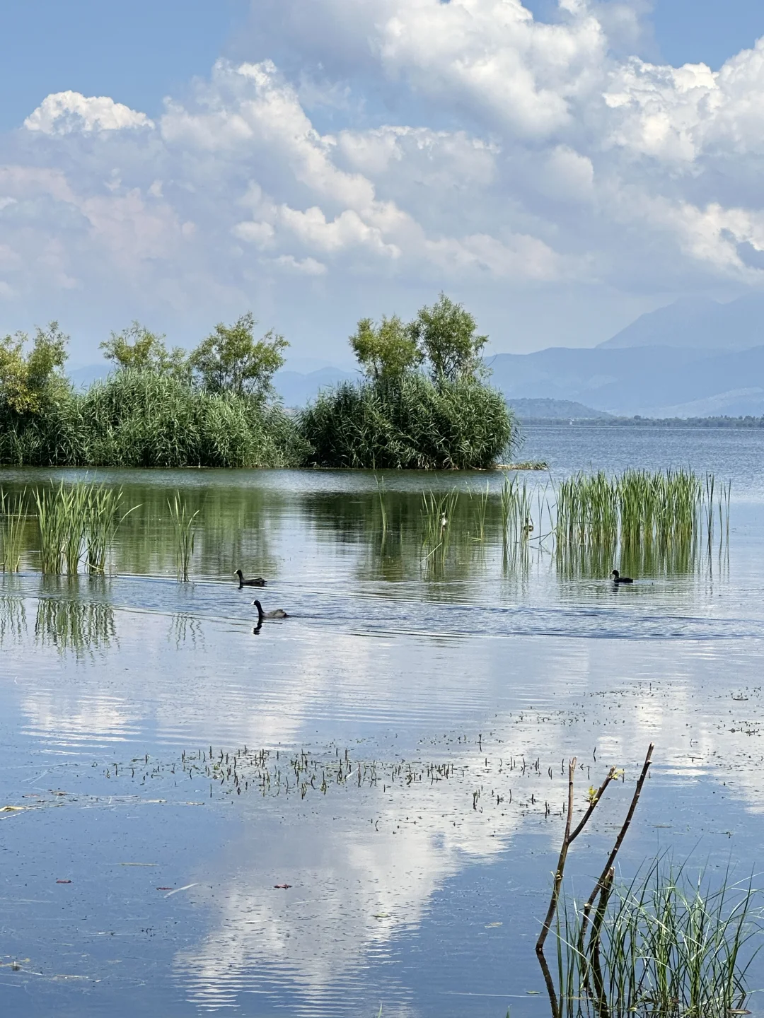人在大理的Day2️⃣：这样的玩法 没踩任何坑🔥
