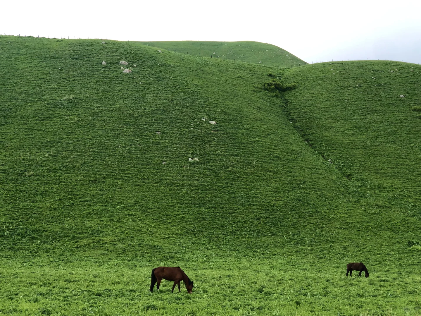 都是些什么人在避雷孟克特古道啊