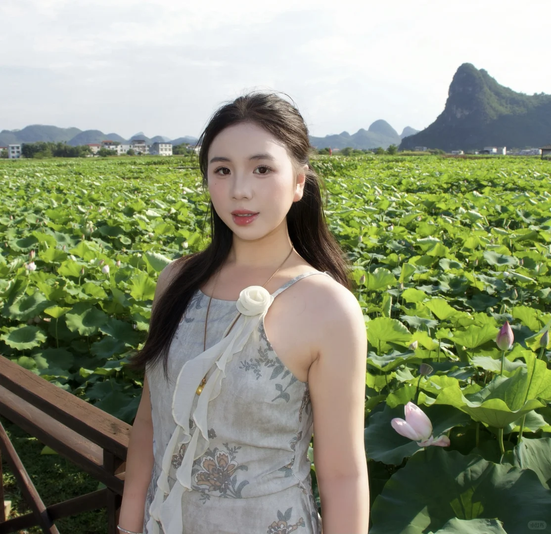 在柳州❗️带我的狗狗去百朋看荷花🪷