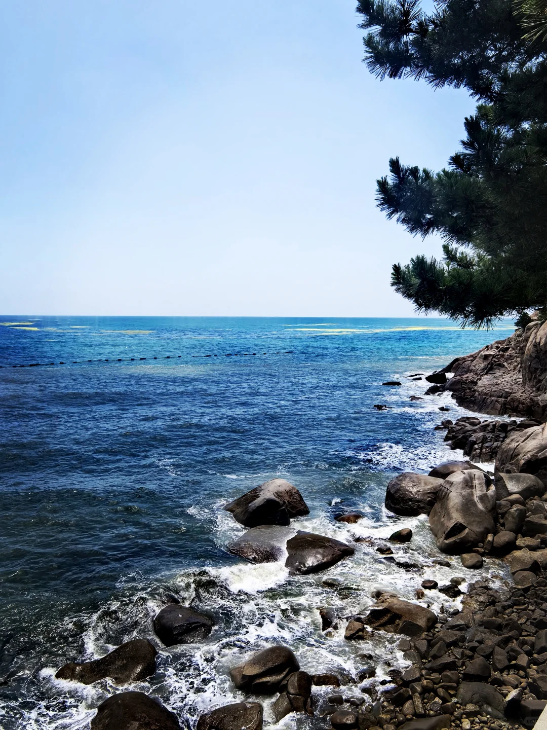 玩儿在青岛--崂山景区
