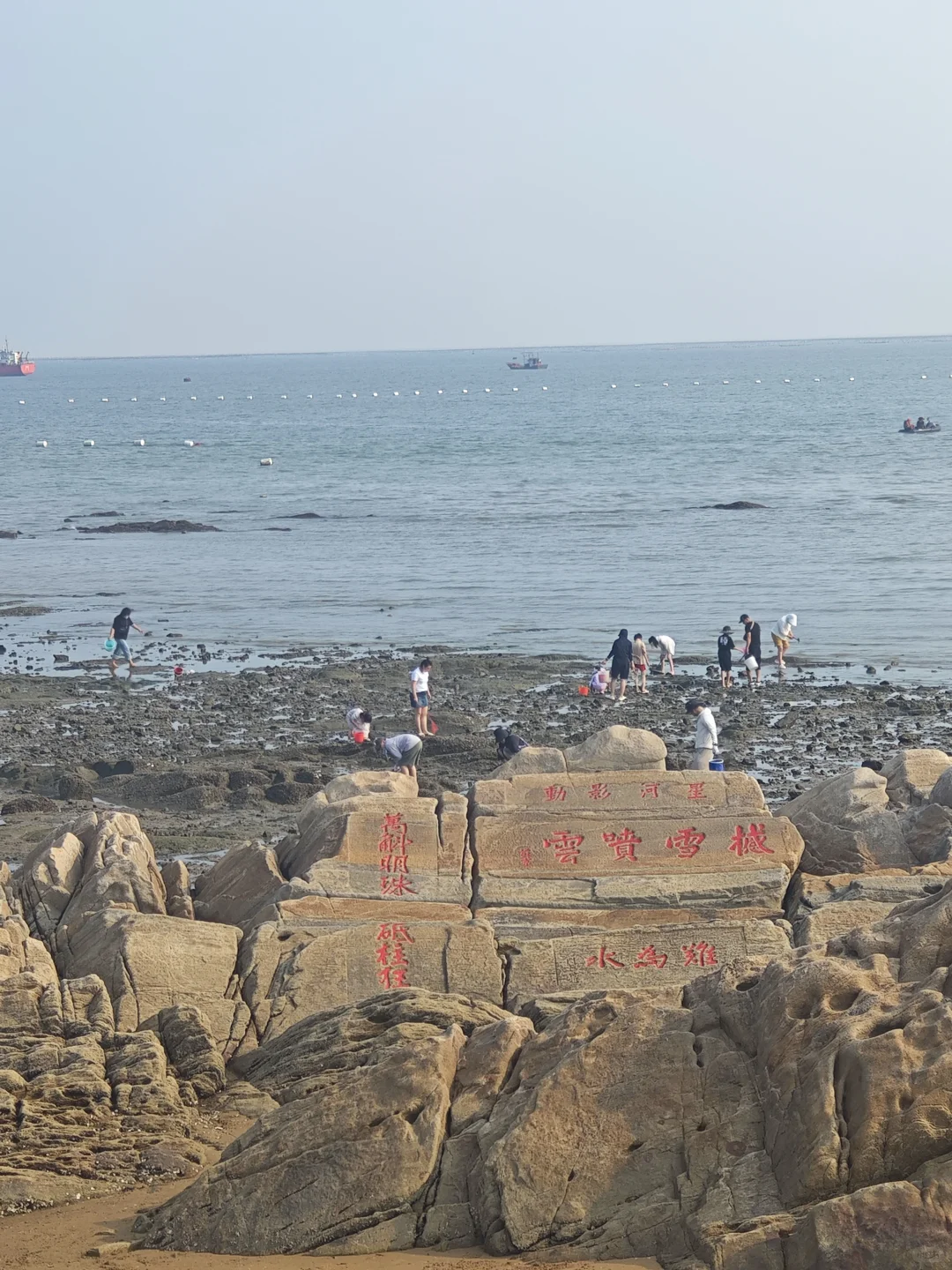 是自由自在的岚山啊