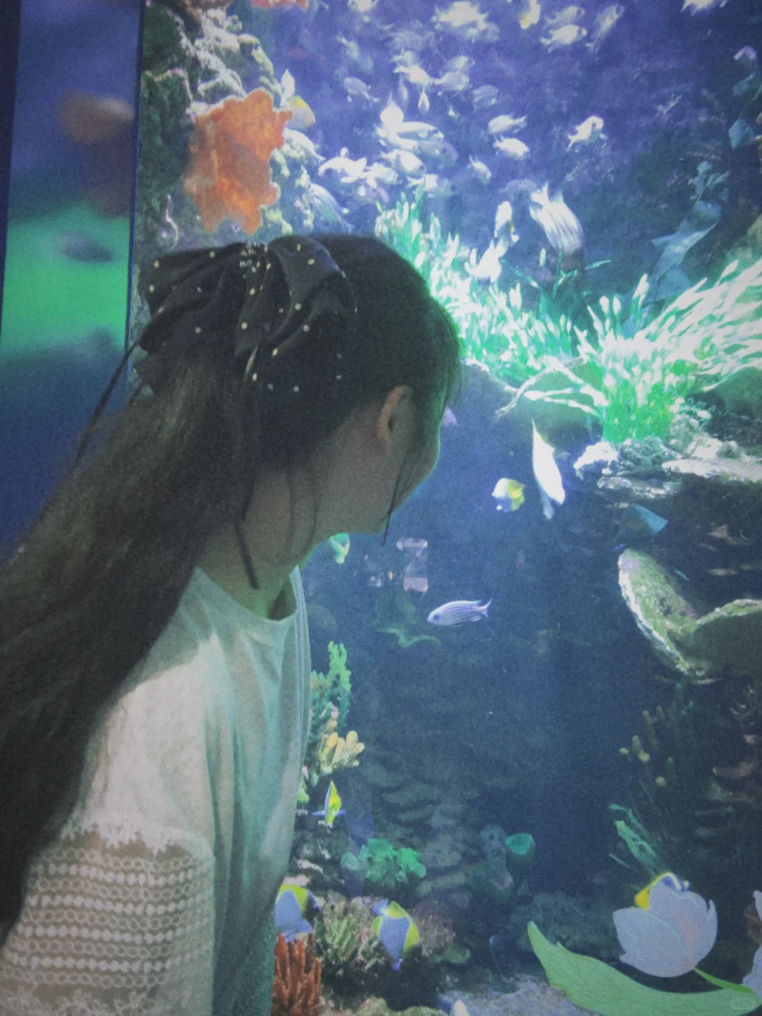 记录每一次旅游