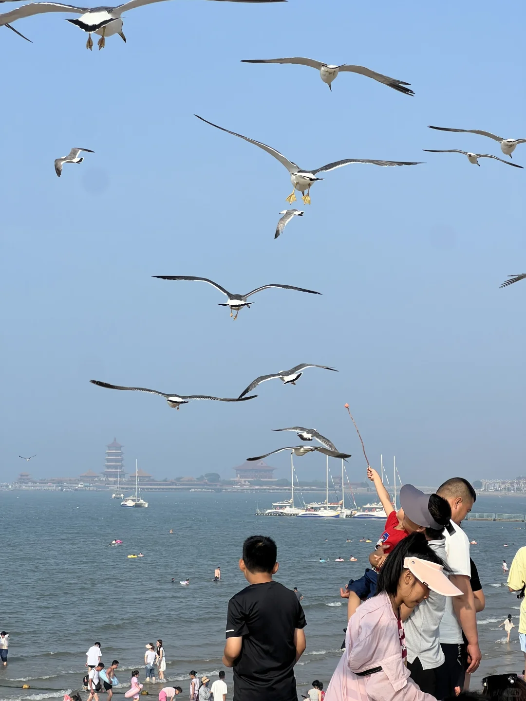 烟台蓬莱❗️一座被严重低估的宝藏海边小城❗️