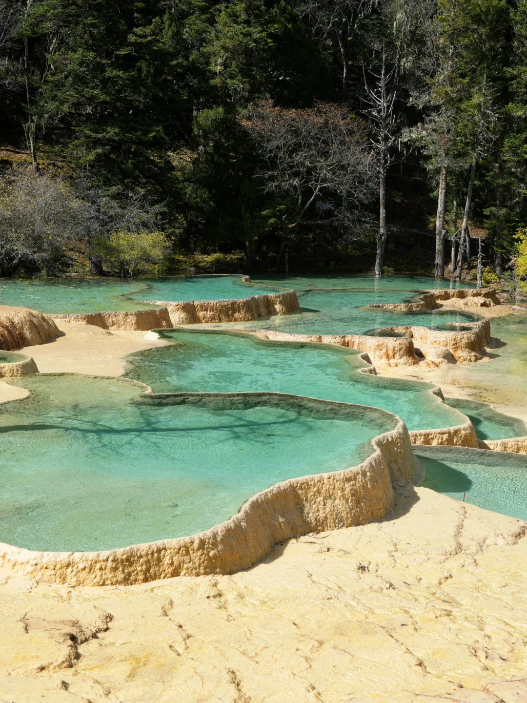 黄龙景区一日游攻略