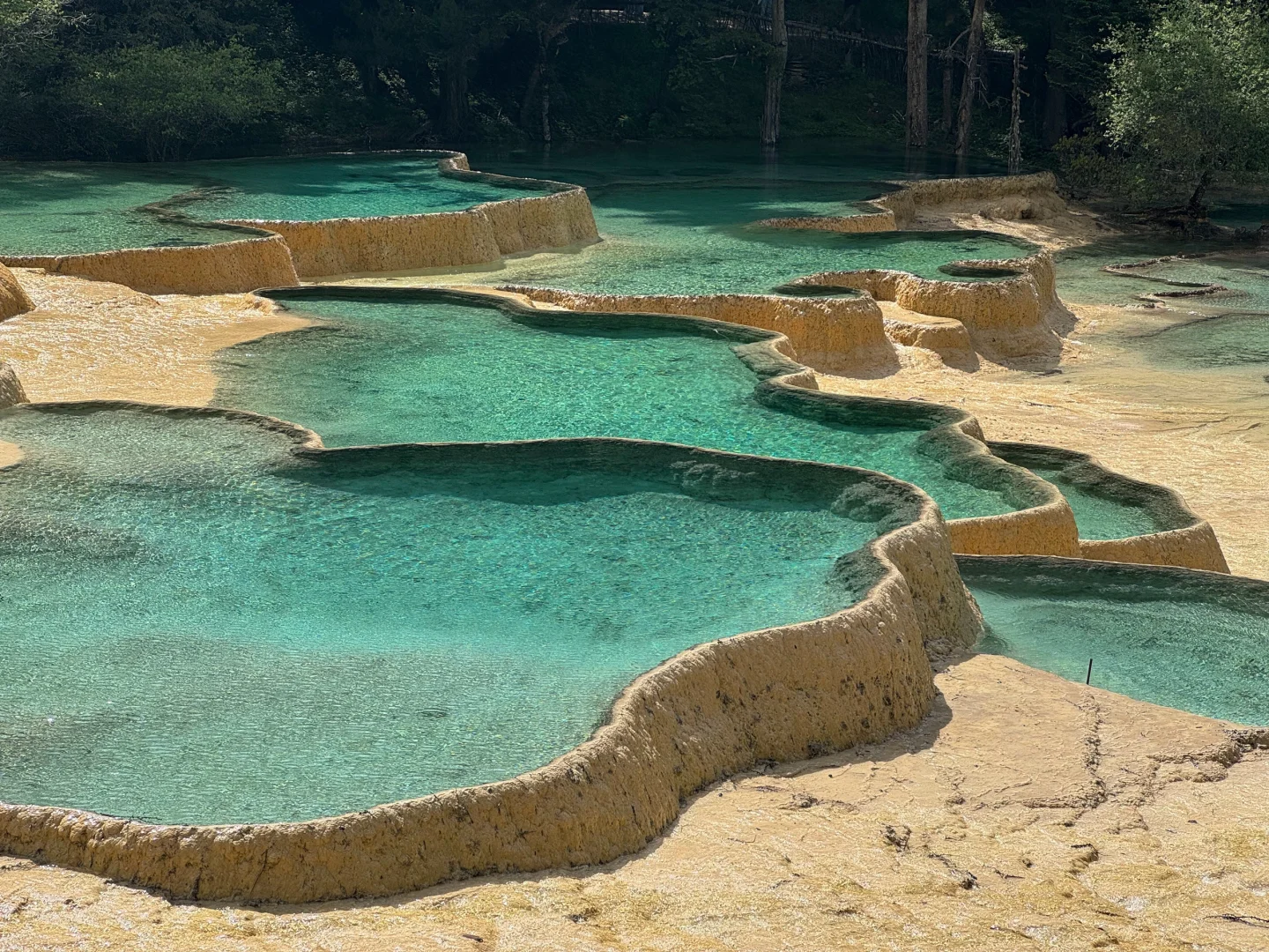 黄龙很美，但我已累成🐶。。（附live图）