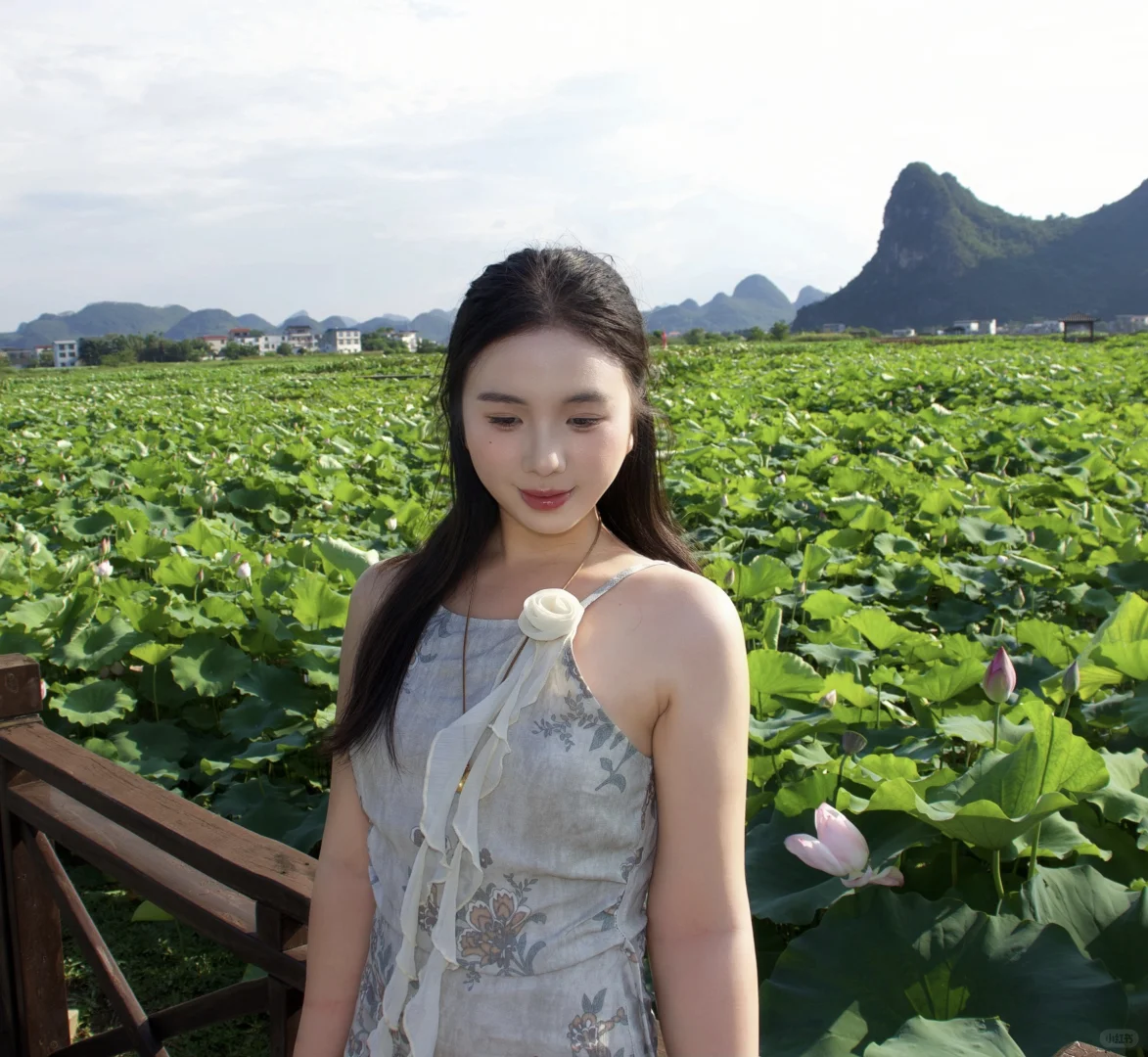 在柳州❗️带我的狗狗去百朋看荷花🪷