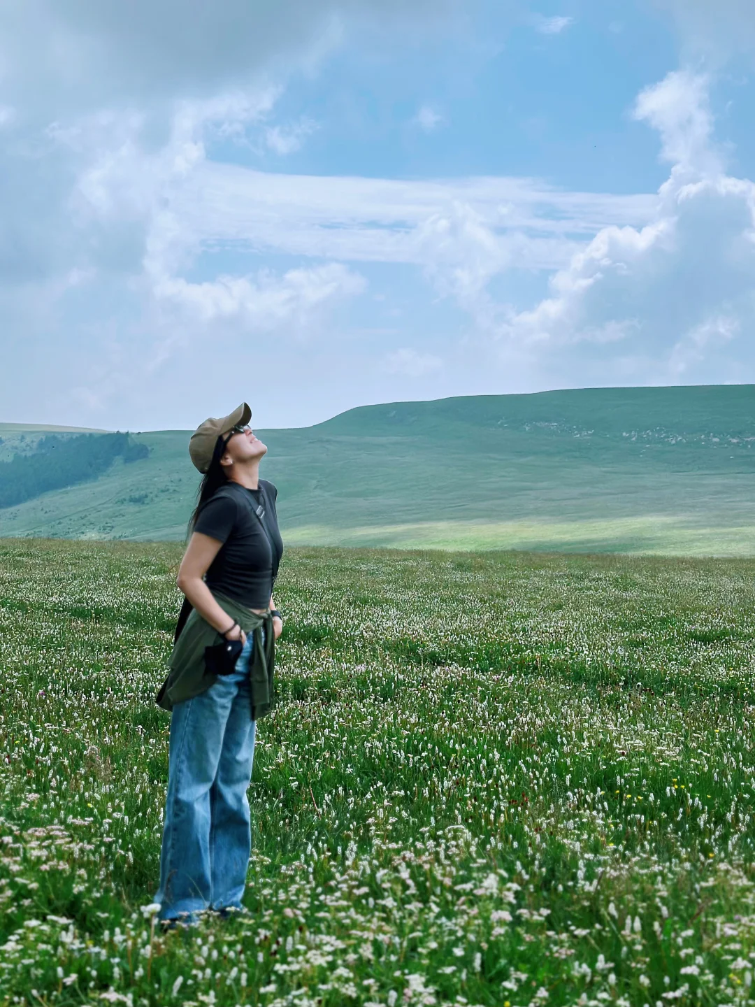 荷叶坪 森林的海