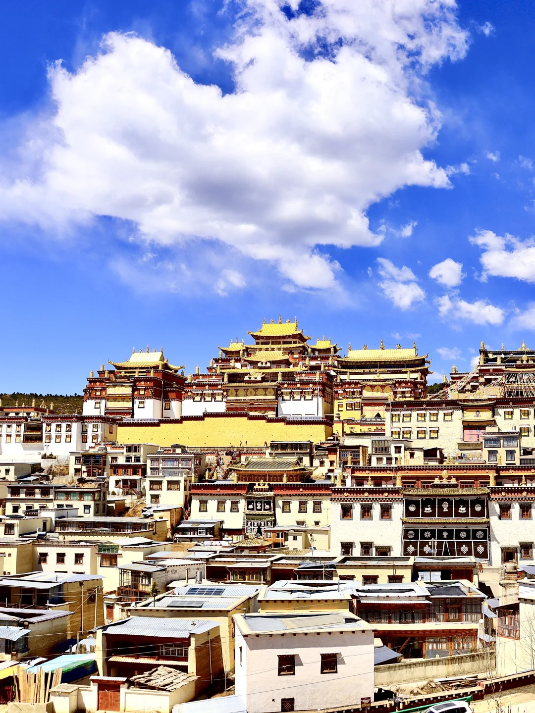 📍香格里拉|今日实况纳帕海惊现彩虹🌈