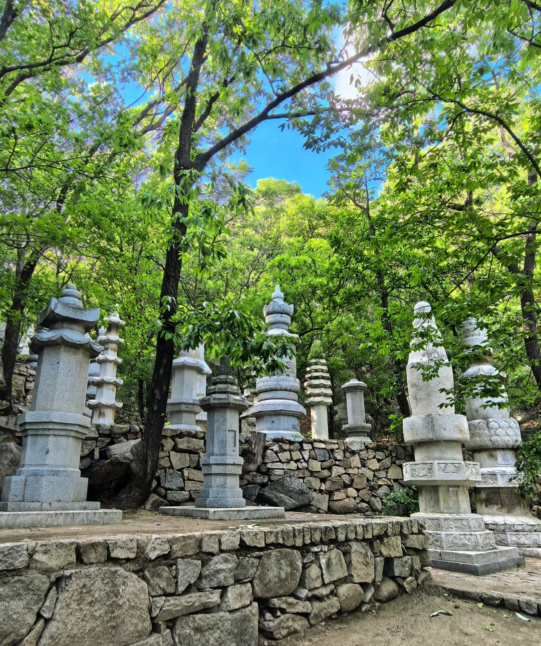 早知有盘山 何必下江南