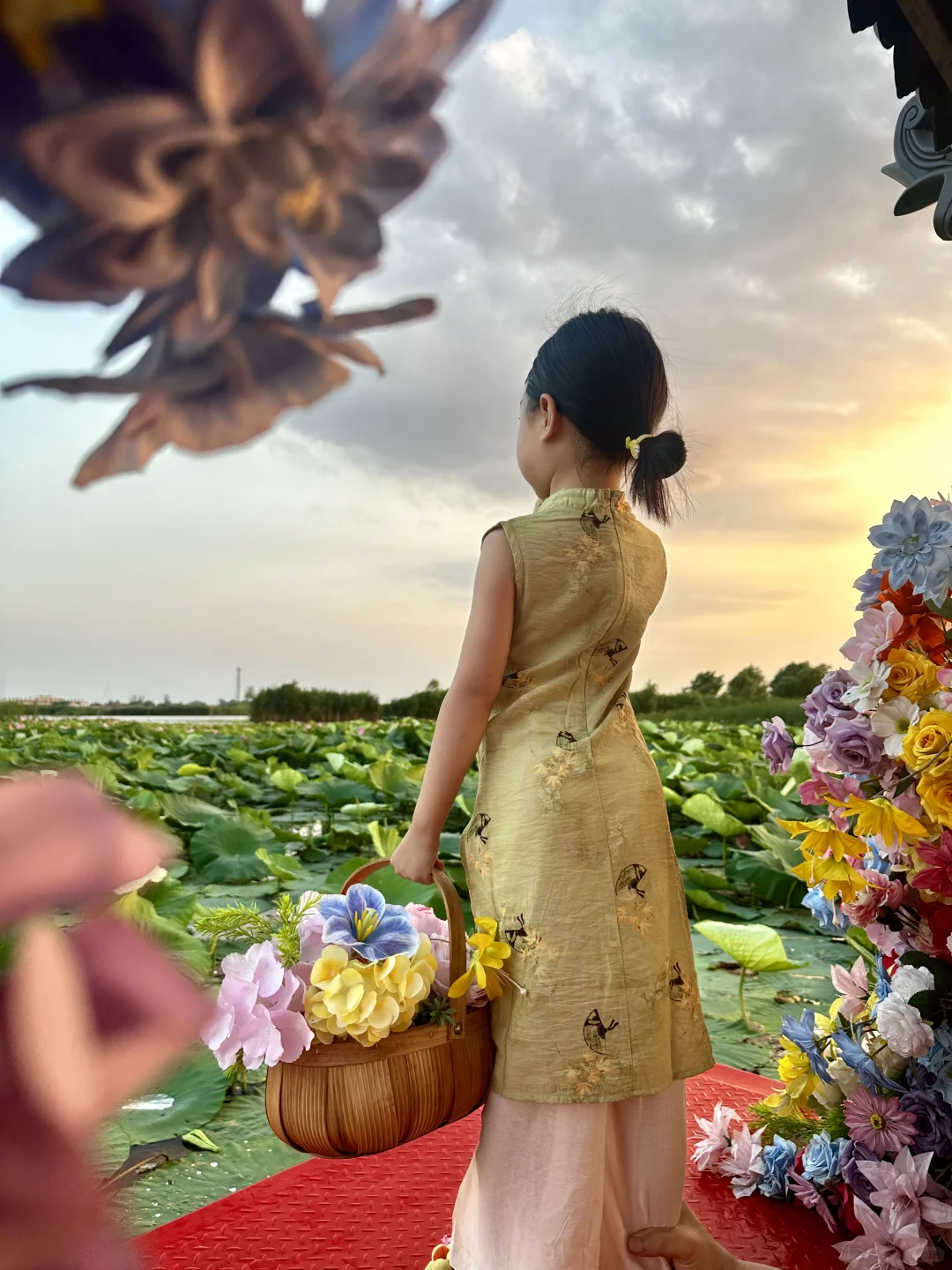 真的不敢相信！在白洋淀遇到了坠美日落🌅