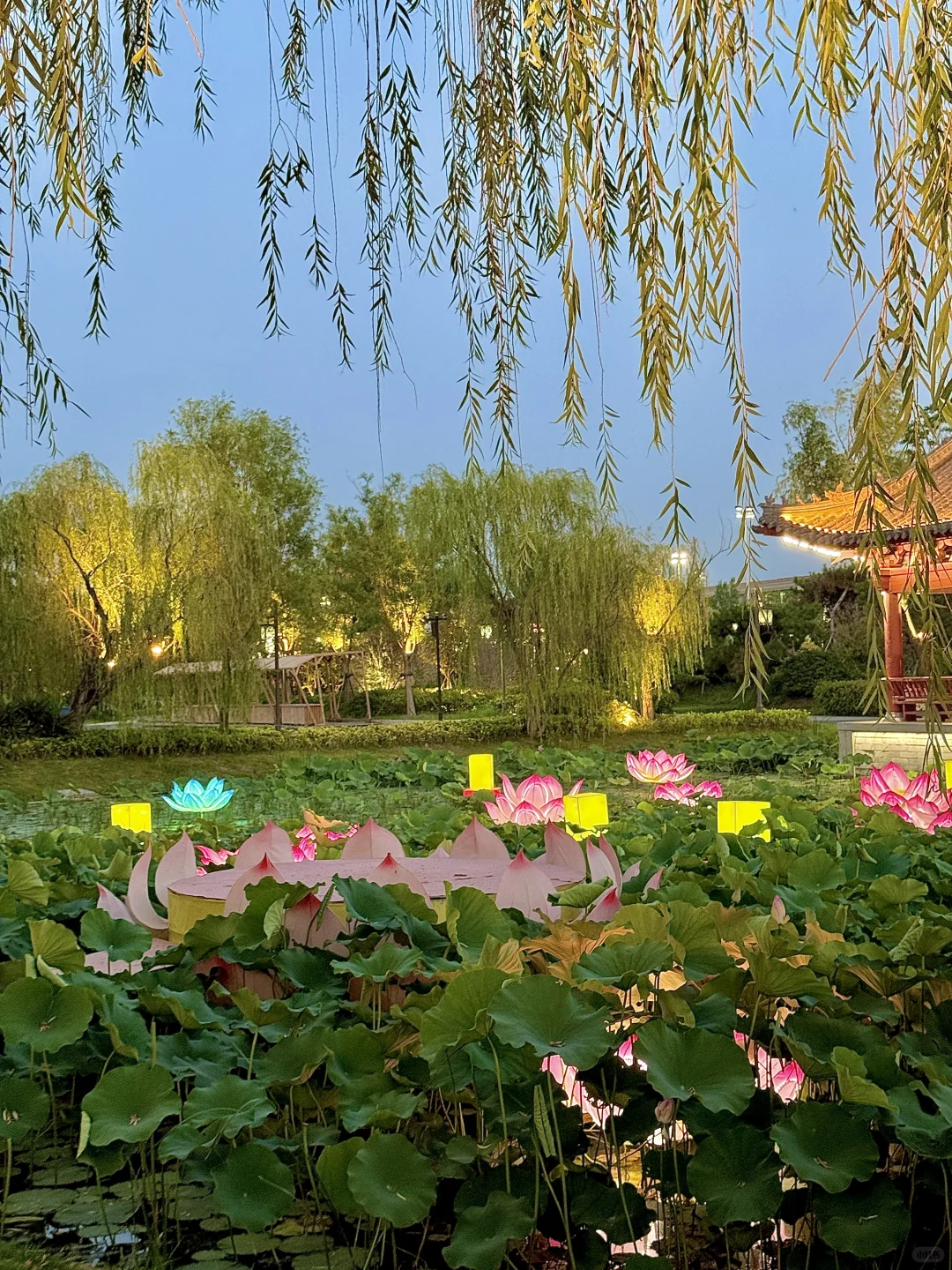 暑假一定要打卡的景区📍开封铁塔景区攻略