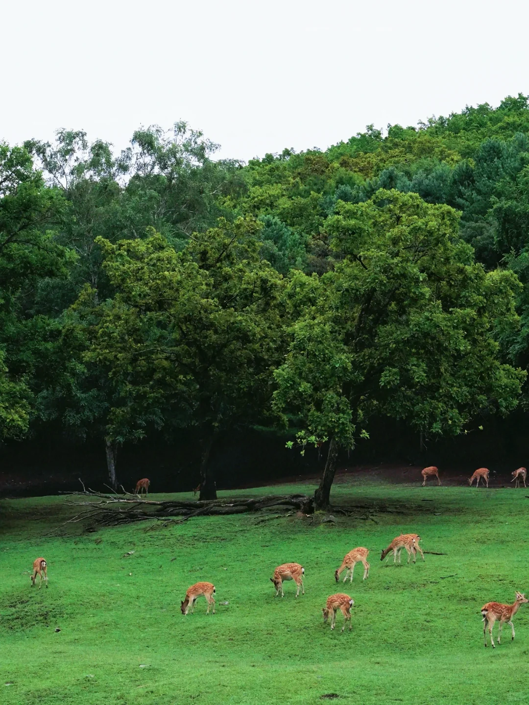 被治愈的生活底片，你抓住了嘛？
