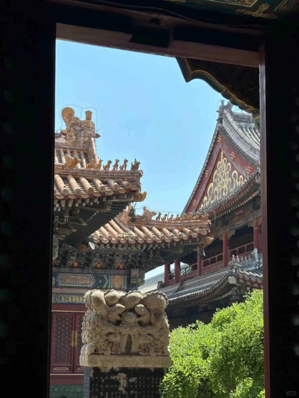 强推推推推我报的北京团！！！（非托非广）