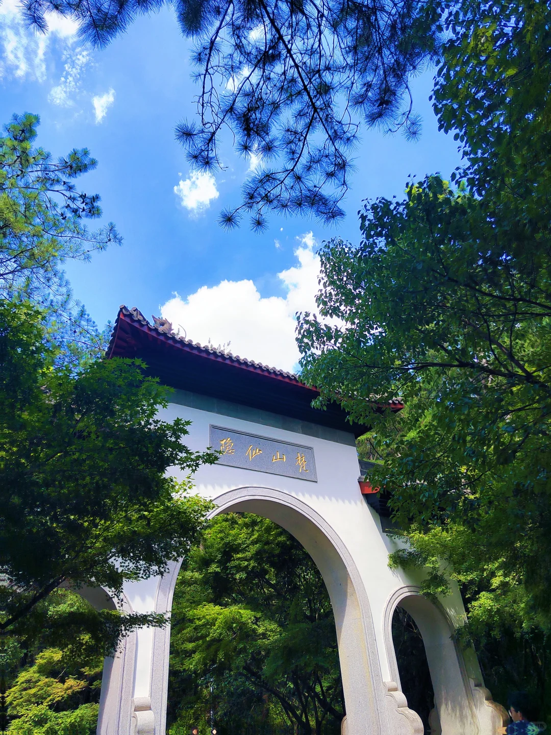 杭州灵隐寺|禅意千年,心归处