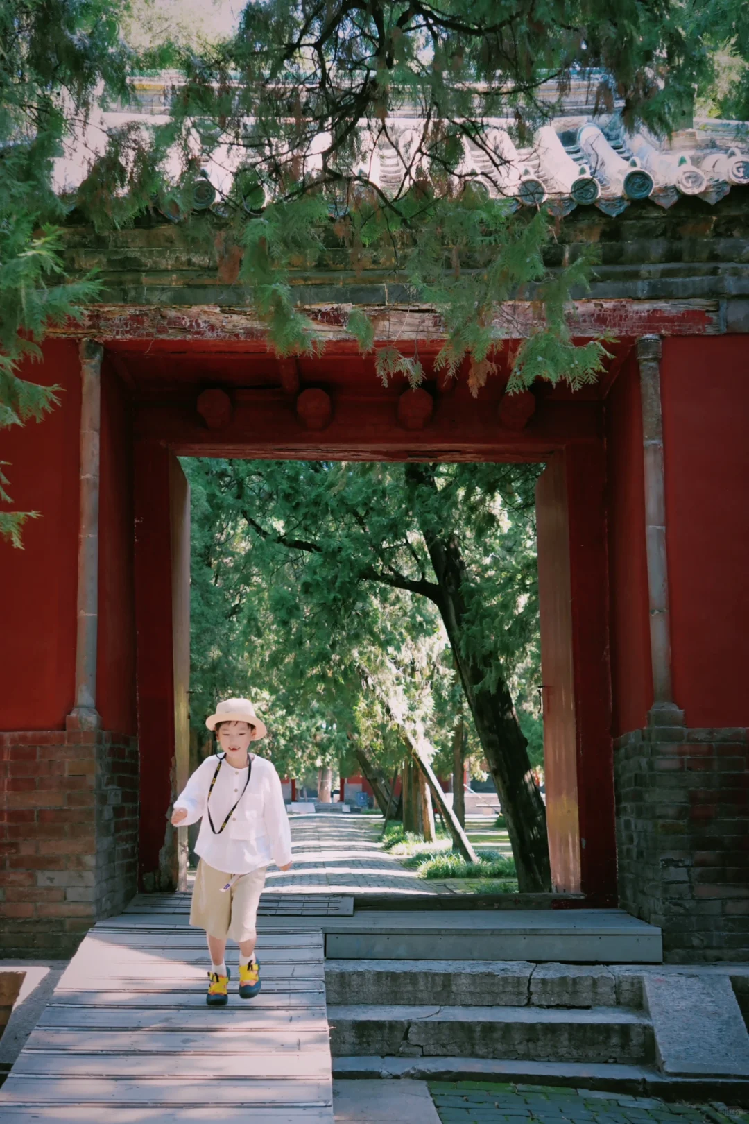 三刷曲阜,这些坑别再踩了!四天三晚攻略收好