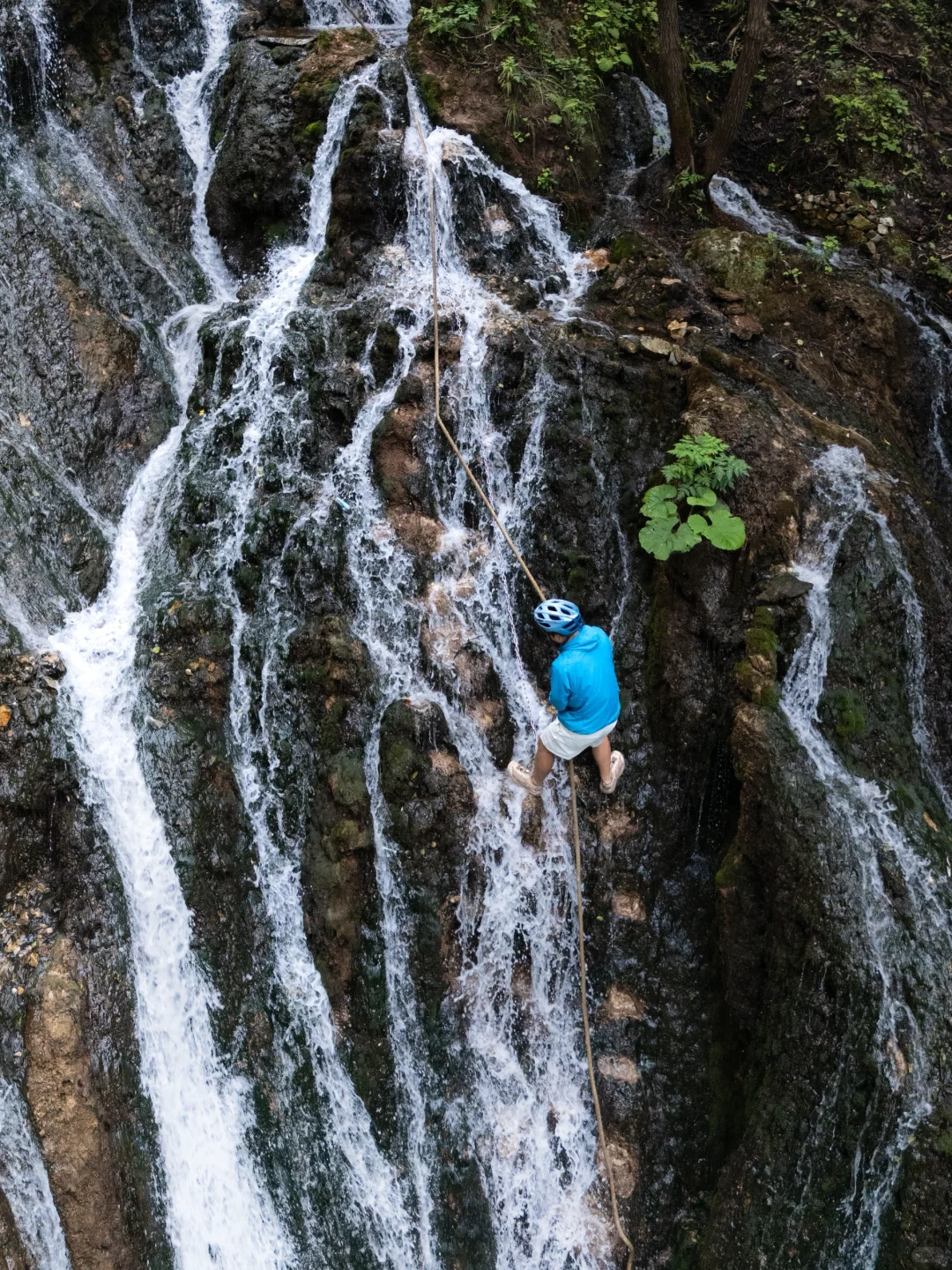 真的有被洛阳浪漫到❤️