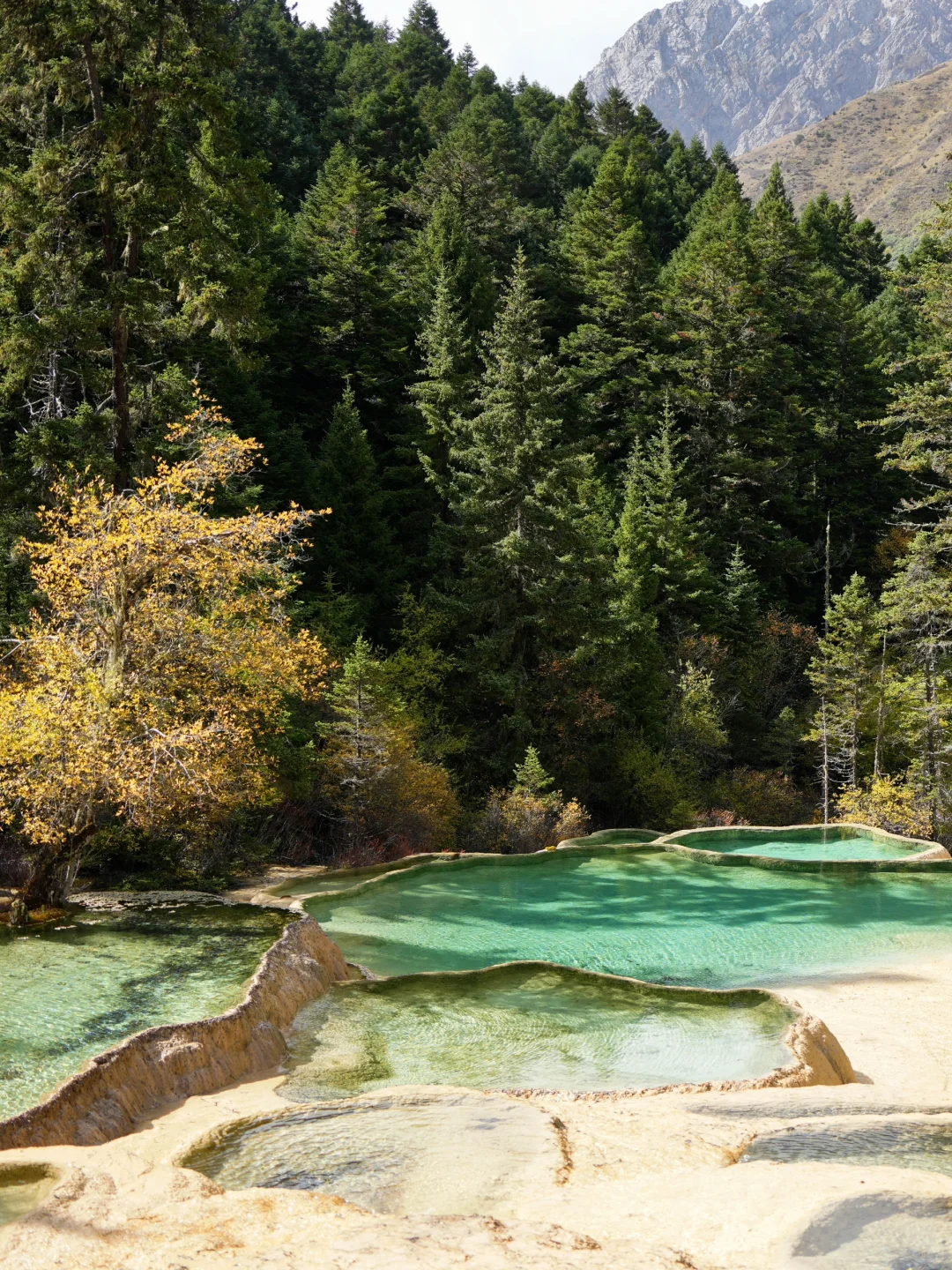 黄龙景区一日游攻略