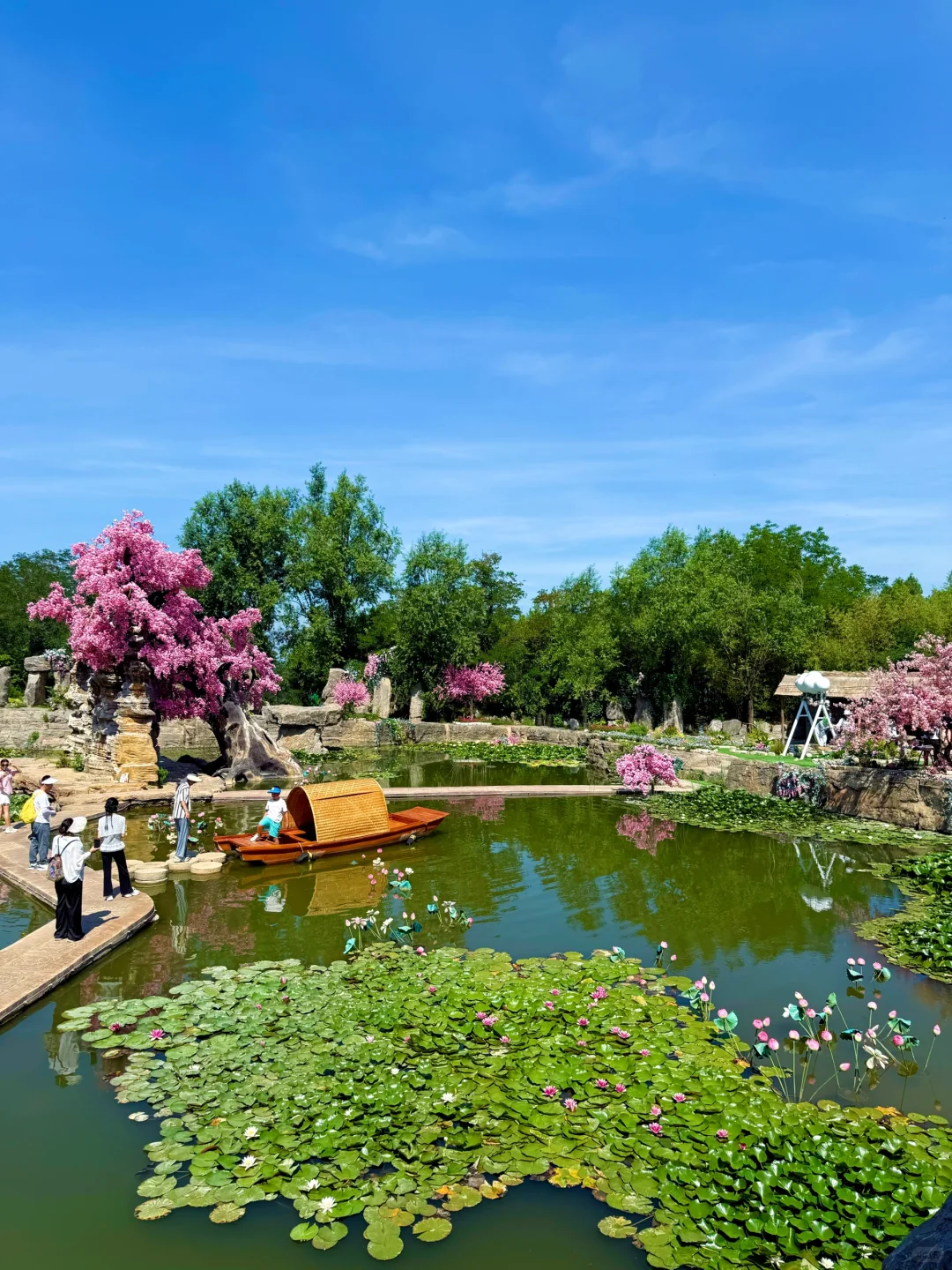 泰安开车2小时!发现绝美森林秘境🌳🦋