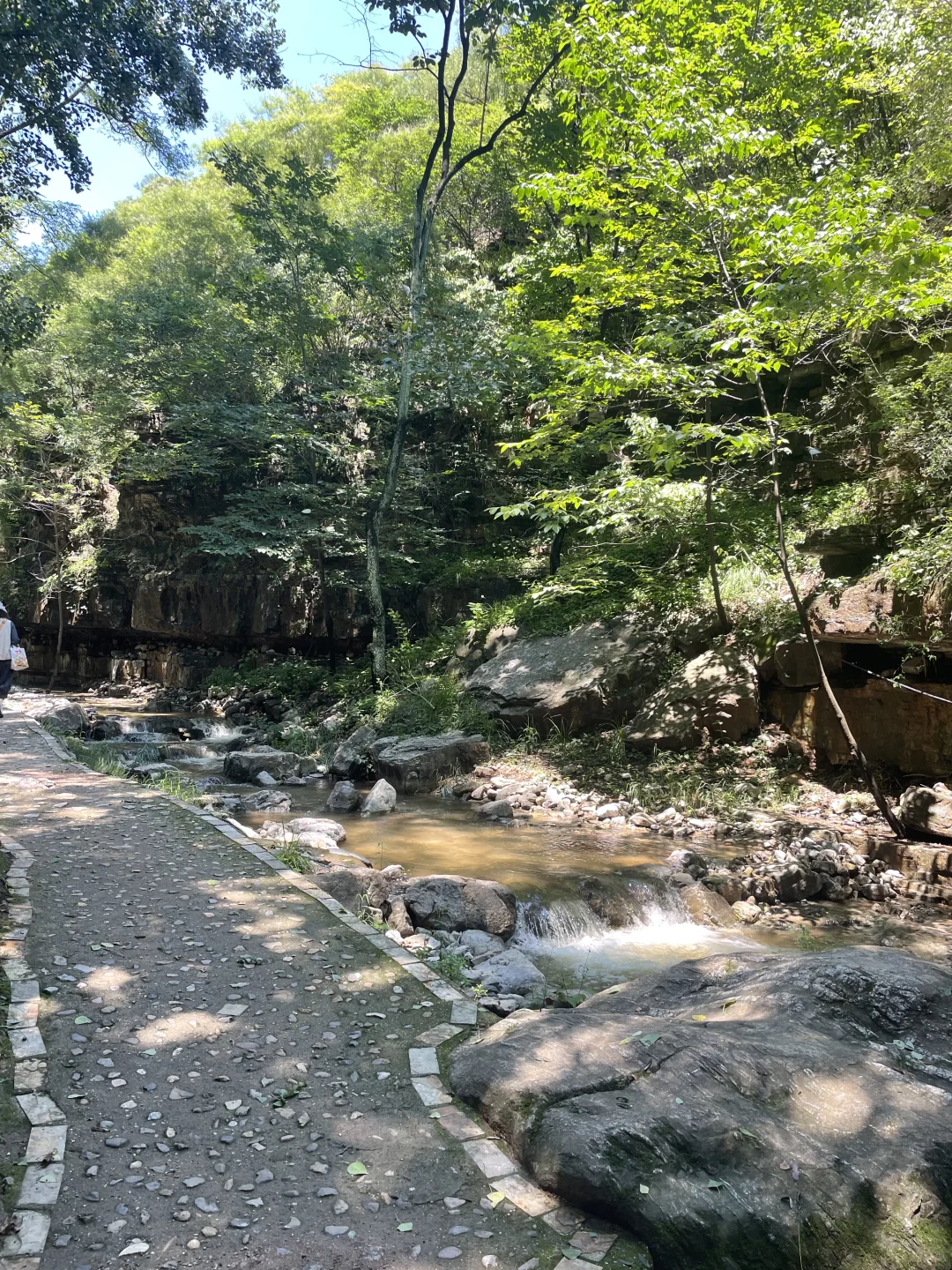 夏日避暑宝藏地|赶快躲进这天然氧吧🍃